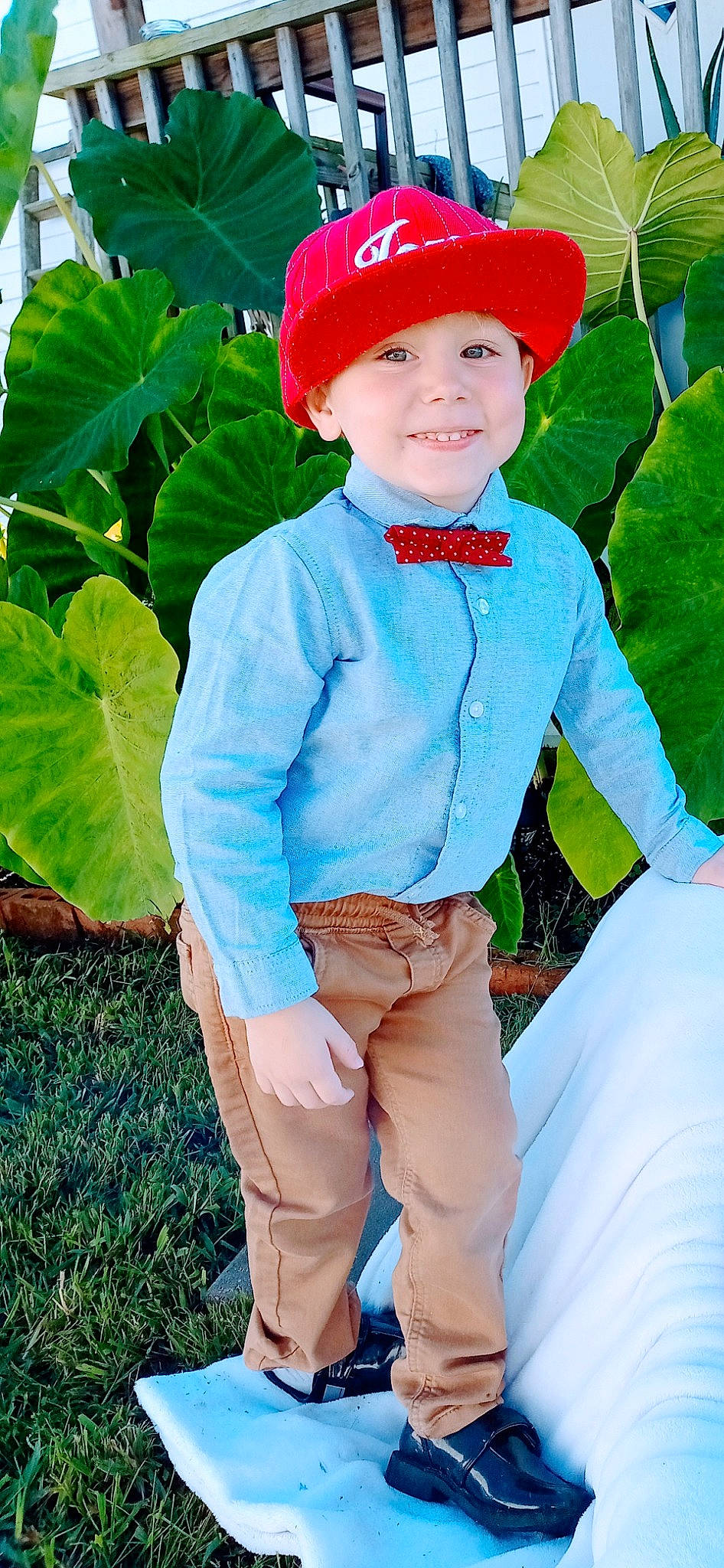 Marshall is registered to the contest to win money with this photo: baby_toddler_clothing, cap, child, clothing, costume_hat, dress_shirt, electric_blue, fun, grass, green, happy, headgear, headwear, joy, leaf_vegetable, outerwear, people_in_nature, person, sleeve, smile