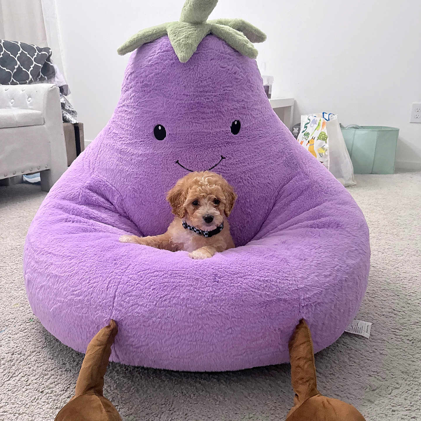 Biscuit