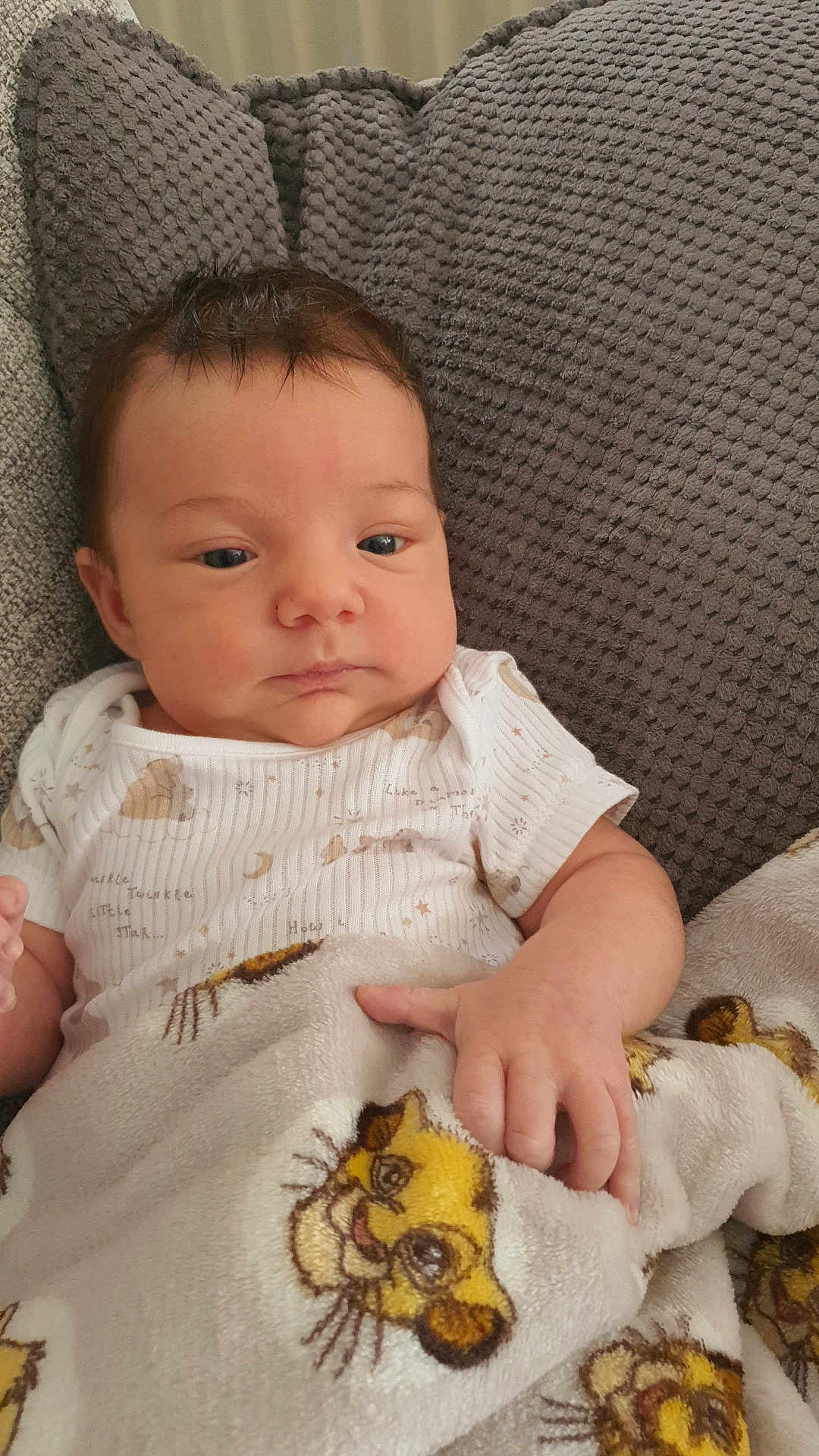 Dante is registered to the contest to win money with this photo: baby, infant, blanket, cartoon, lion, cushion, gray, texture, clothing, white, person, portrait, indoor, child, cute, small_hand, soft, cozy, resting, young