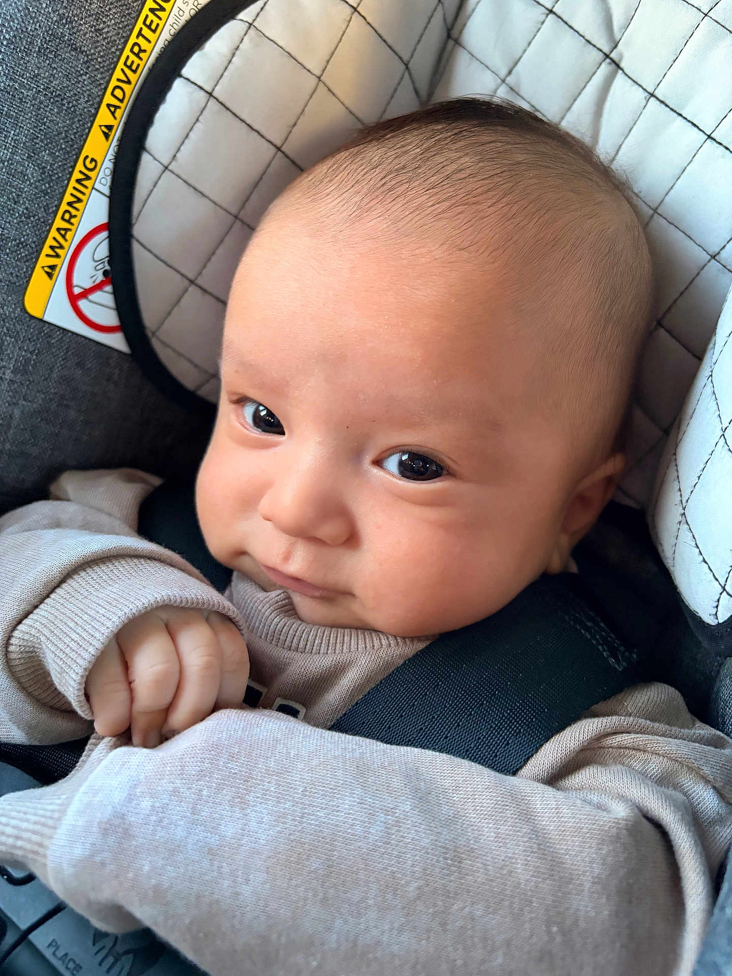 Oliver joined the competition — help win amazing prizes! baby, car_seat, child, closeup, clothing, cute, eyes, face, hand, head, indoor, infant, portrait, quilted_fabric, seatbelt, sitting, skin, sleeve, warning_label, young