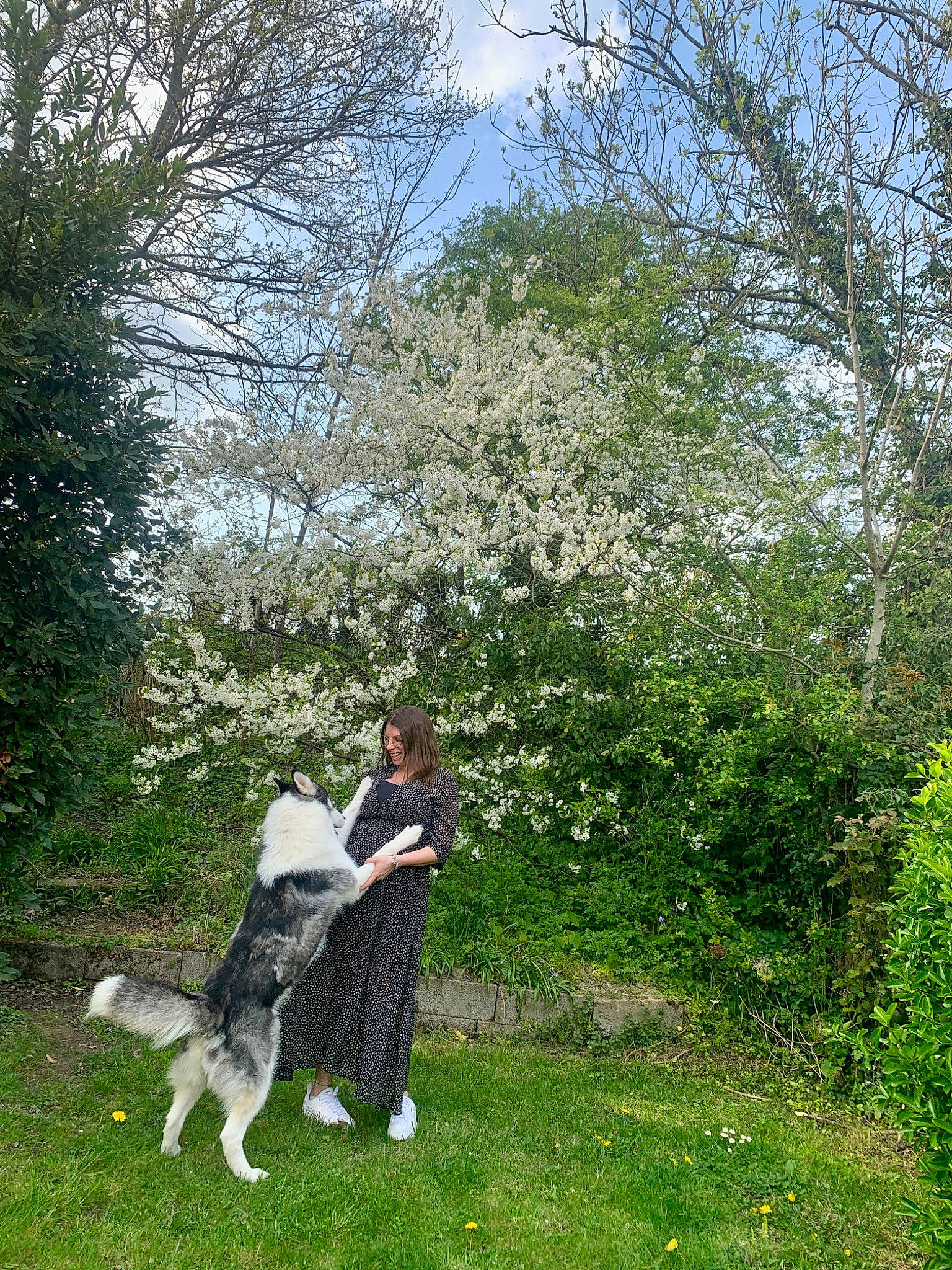 Rasko participe au concours pour gagner de l'argent avec cette photo : carnivore, cloud, companion_dog, dog, dog_breed, dress, garden, grass, grassland, lawn, leisure, meadow, people_in_nature, plant, recreation, shrub, sky, tail, tree, woodland