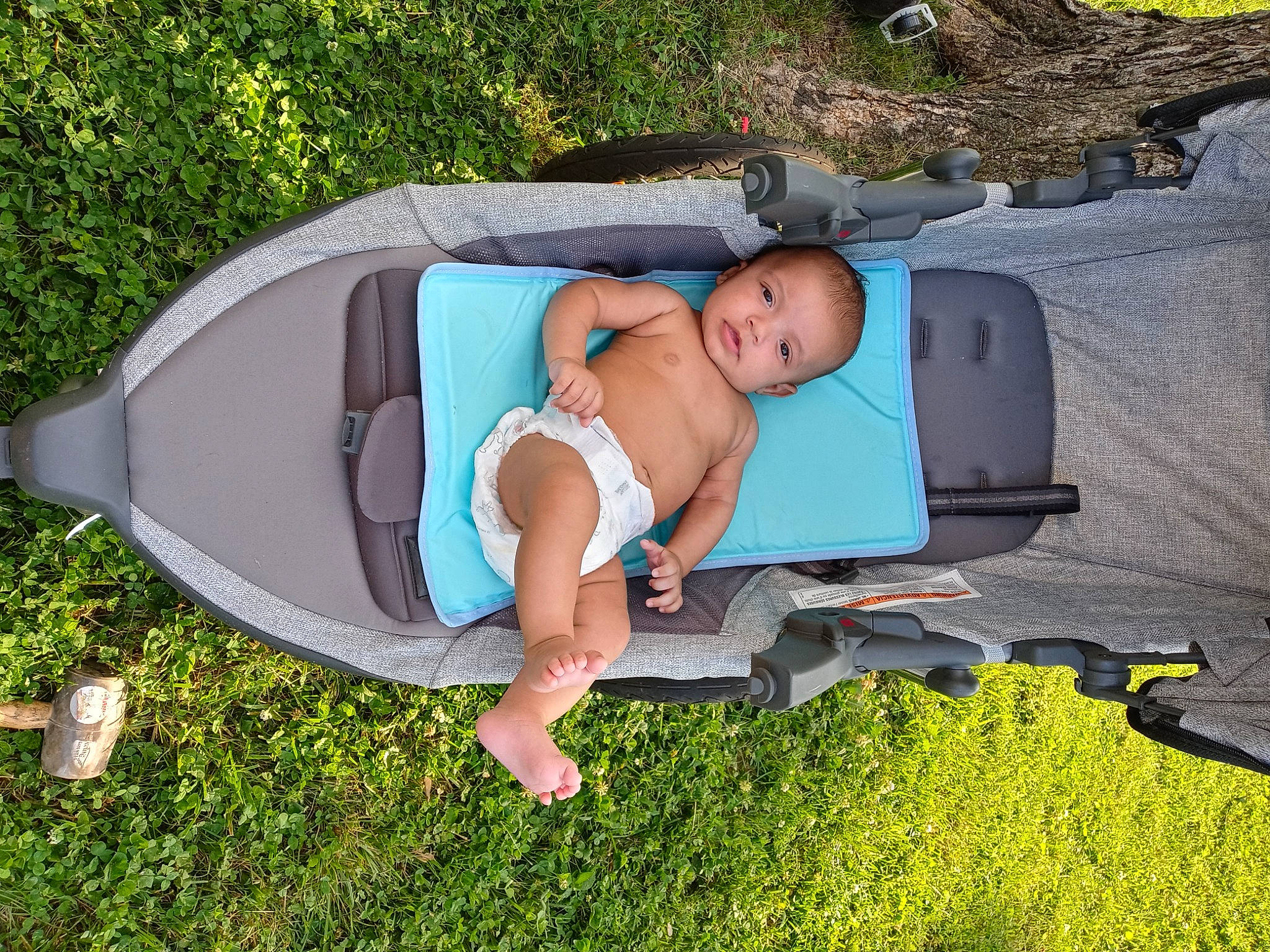 Jermaine is registered to the contest to win money with this photo: baby, baby_products, baby_toddler_clothing, child, comfort, fun, grass, hat, lawn, leaf, leisure, outdoor_furniture, people_in_nature, person, plant, public_space, recreation, sitting, toddler, tree