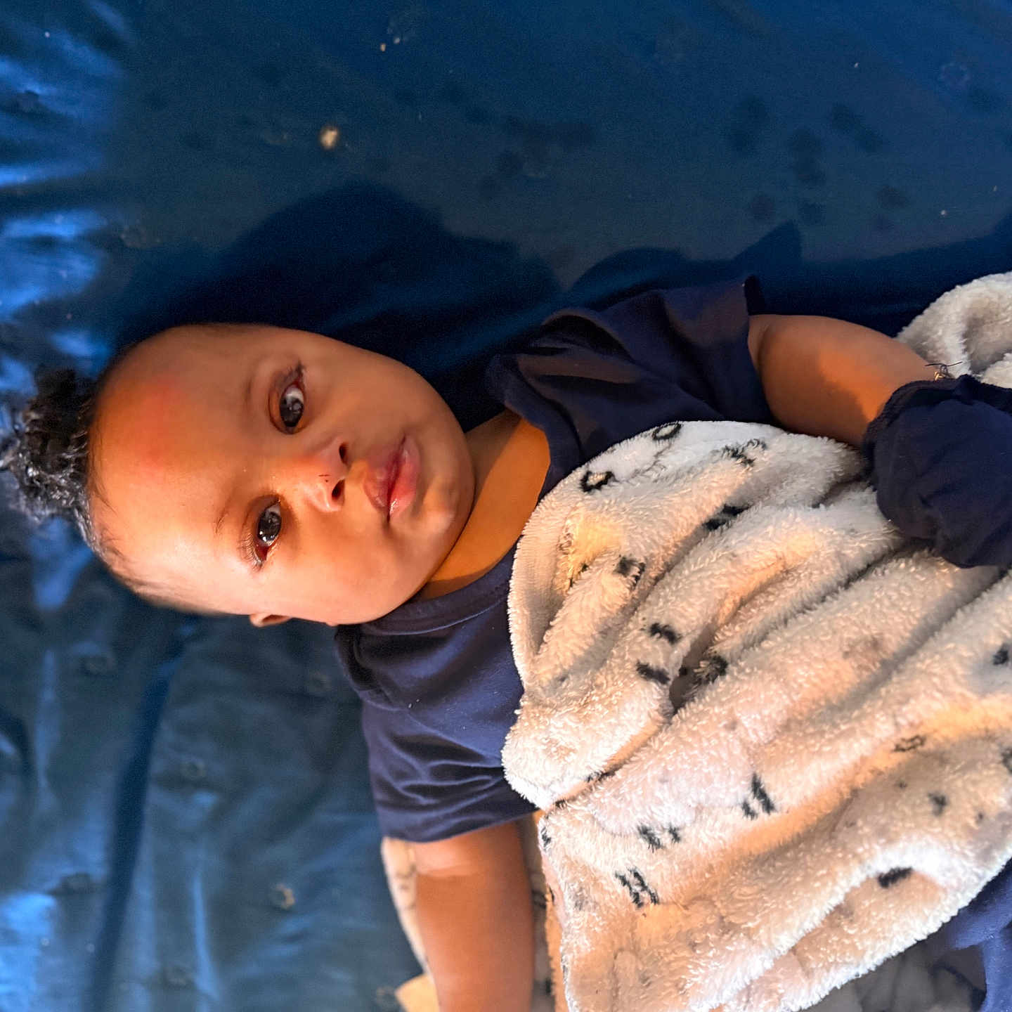 Arrow Halo Forte is registered to the contest to win money with this photo: arm, baby, bed, blanket, blue_bedspread, closeup, cozy, curly_hair, cute, eyes, face, gaze, indoor, infant, lying_down, mittens, navy_shirt, portrait, skin, soft_blanket