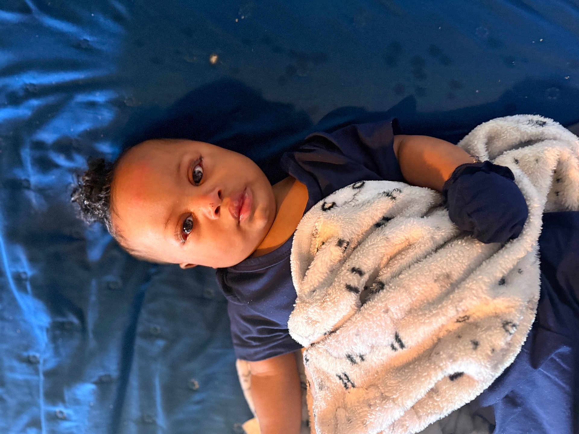 Arrow Halo Forte is registered to the contest to win money with this photo: baby, infant, blanket, navy_shirt, mittens, lying_down, bed, blue_bedspread, face, eyes, curly_hair, portrait, closeup, cute, gaze, soft_blanket, skin, arm, cozy, indoor