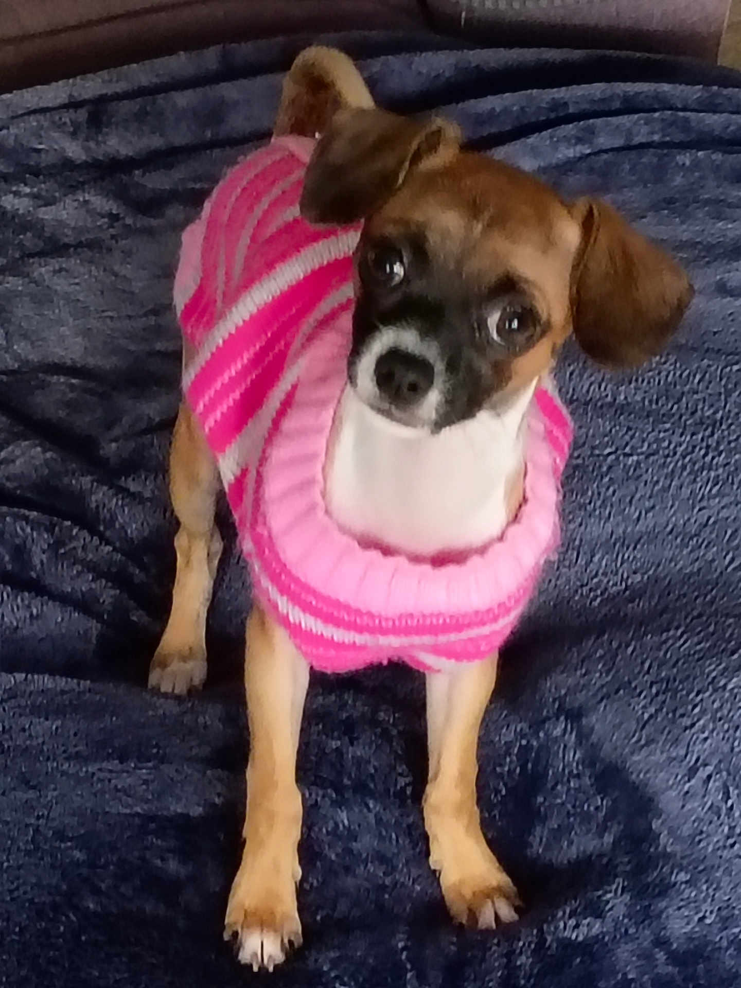 Sadie