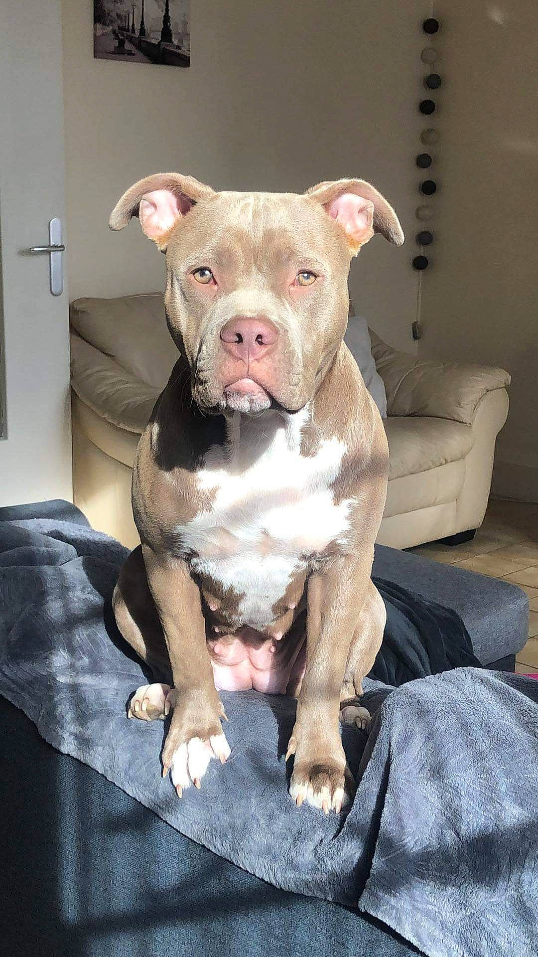 Xena