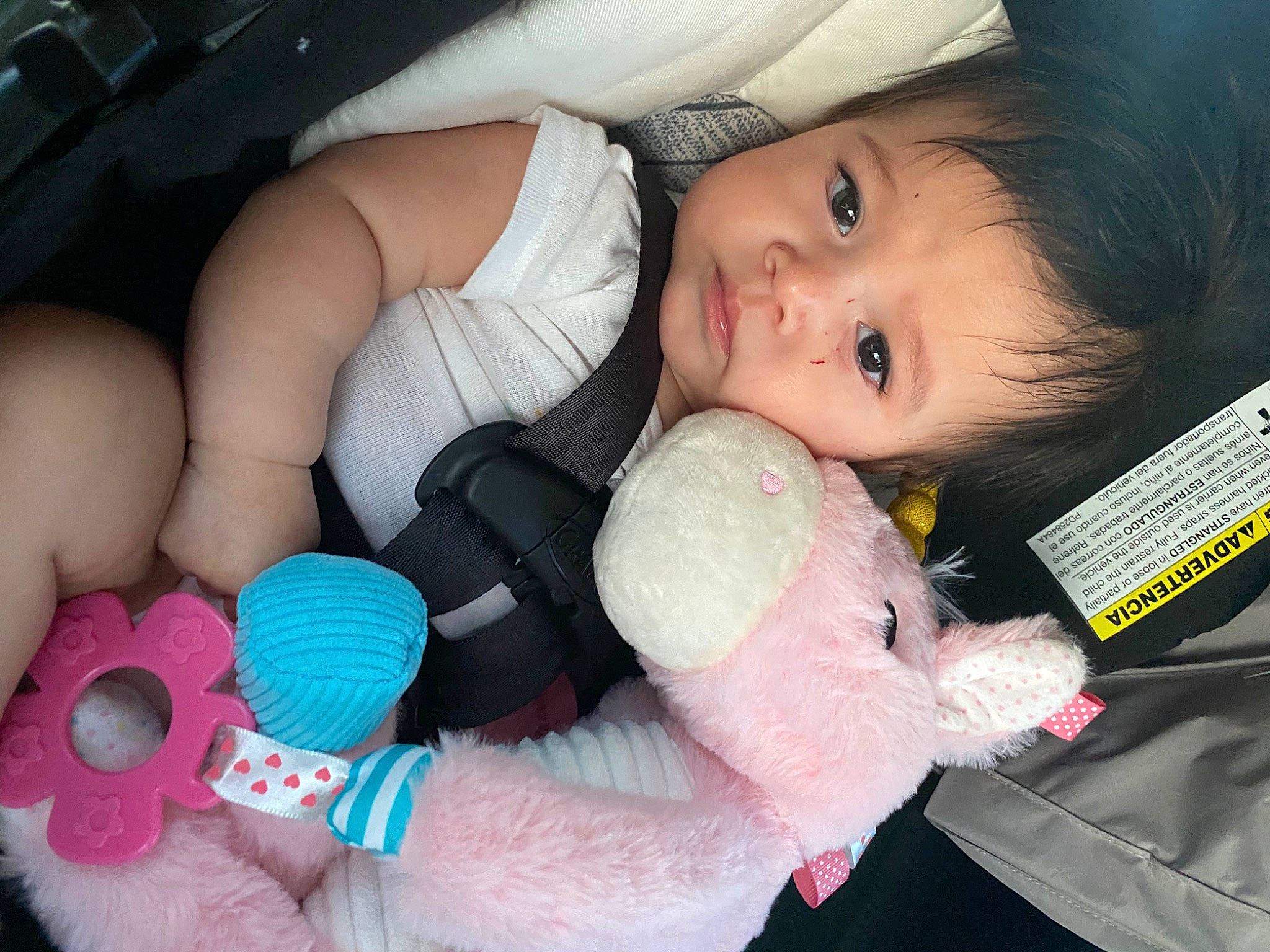 Ezra joined the competition — help win amazing prizes! baby_toddler_clothing, cheek, comfort, eye, finger, hand, iris, mammal, mouth, nail, nose, organ, person, pink, product, skin, textile, thumb, toy, vertebrate