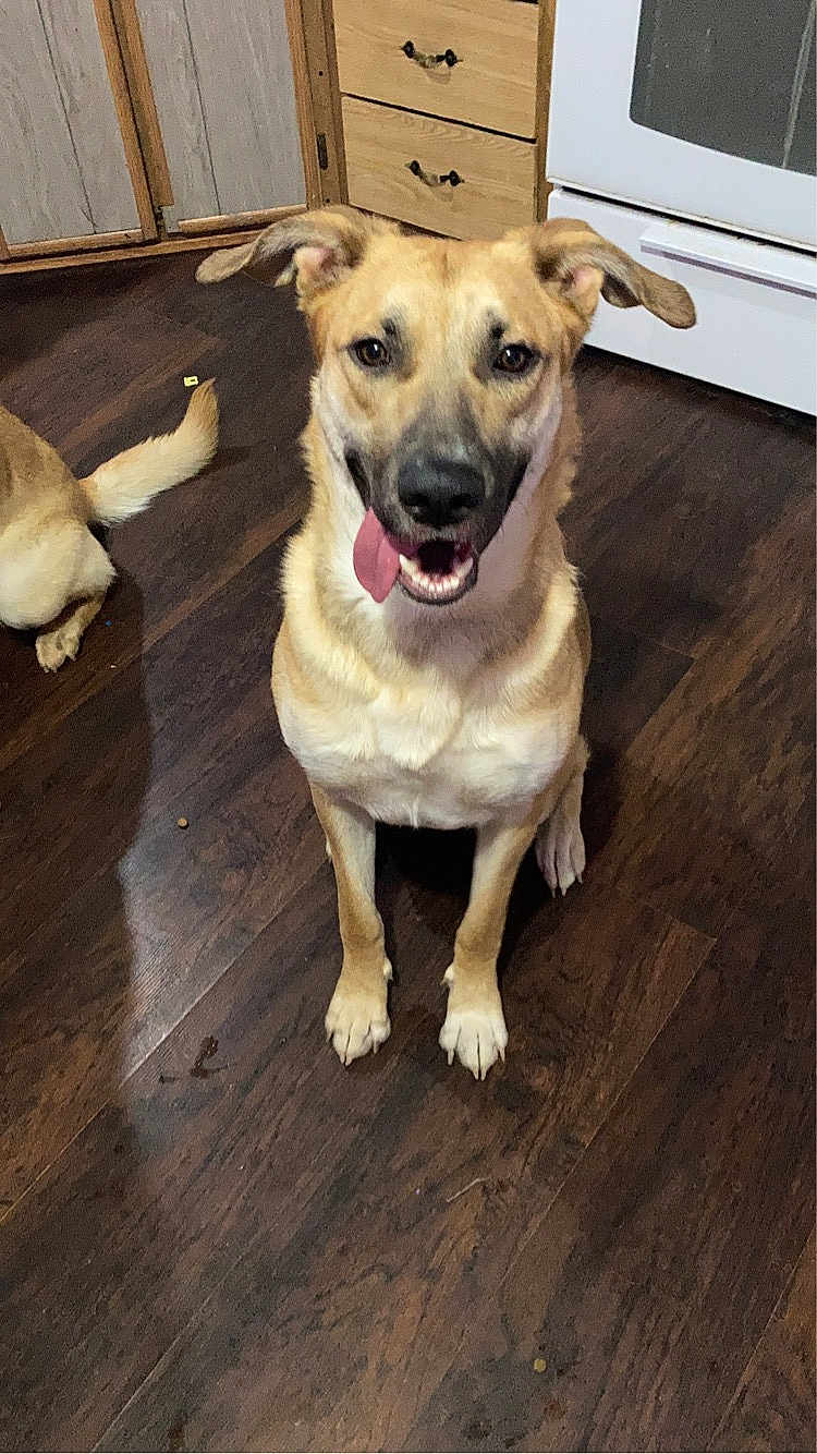 Luna