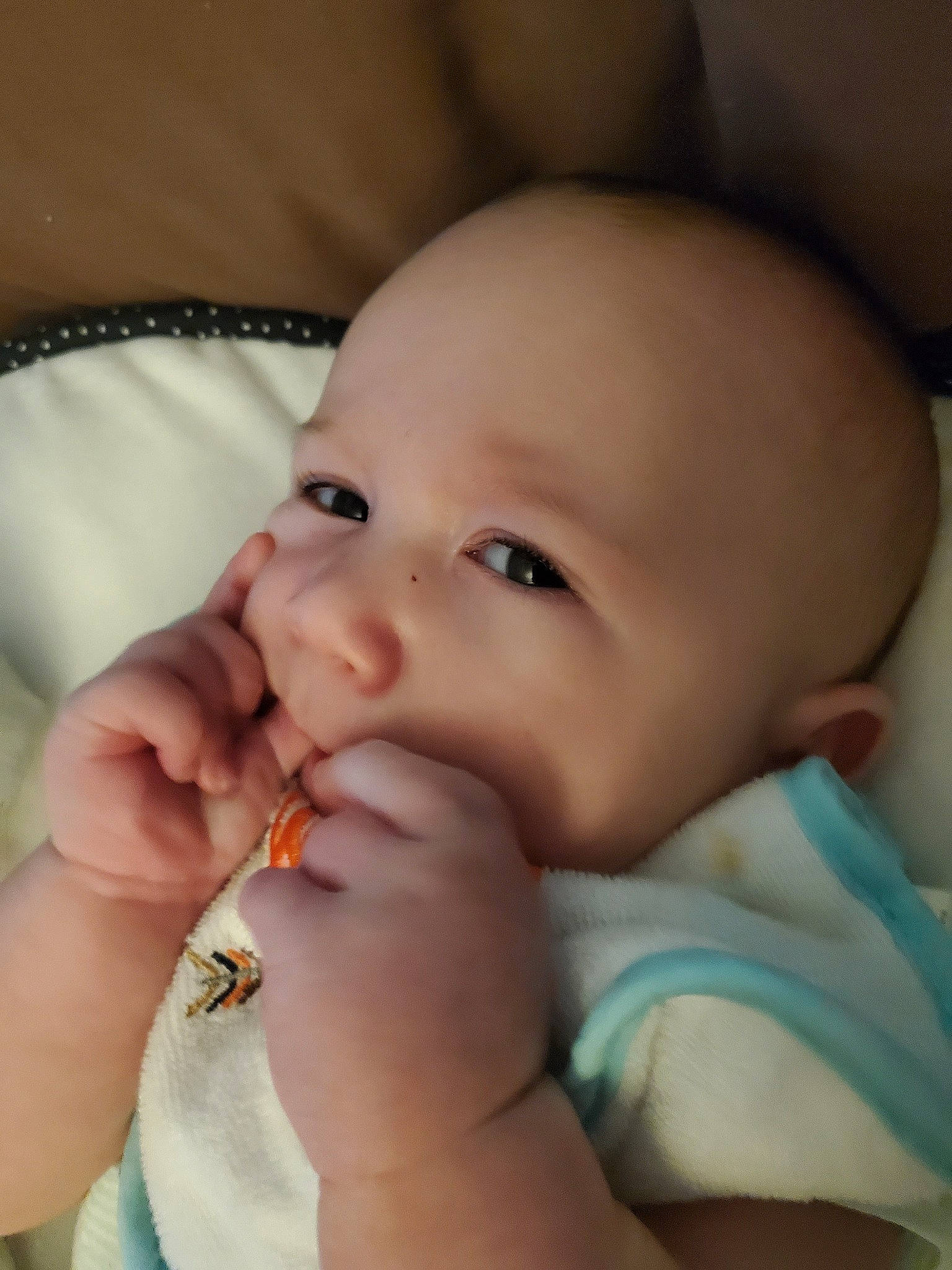 Jameson is registered to the contest to win money with this photo: baby, cheek, child, chin, close_up, eye, eyebrow, face, finger, forehead, hand, head, iris, joy, lip, mouth, muscle, nail, nose, person