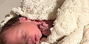 Leo is registered to the contest to win money with this photo: newborn, baby, sleeping, blanket, soft, cozy, infant, wrapped, cute, peaceful, face, hand, skin, bed, rest, warm, child, portrait, closeup, indoor