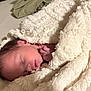 newborn, baby, sleeping, blanket, soft, cozy, infant, wrapped, cute, peaceful, face, hand, skin, bed, rest, warm, child, portrait, closeup, indoor
