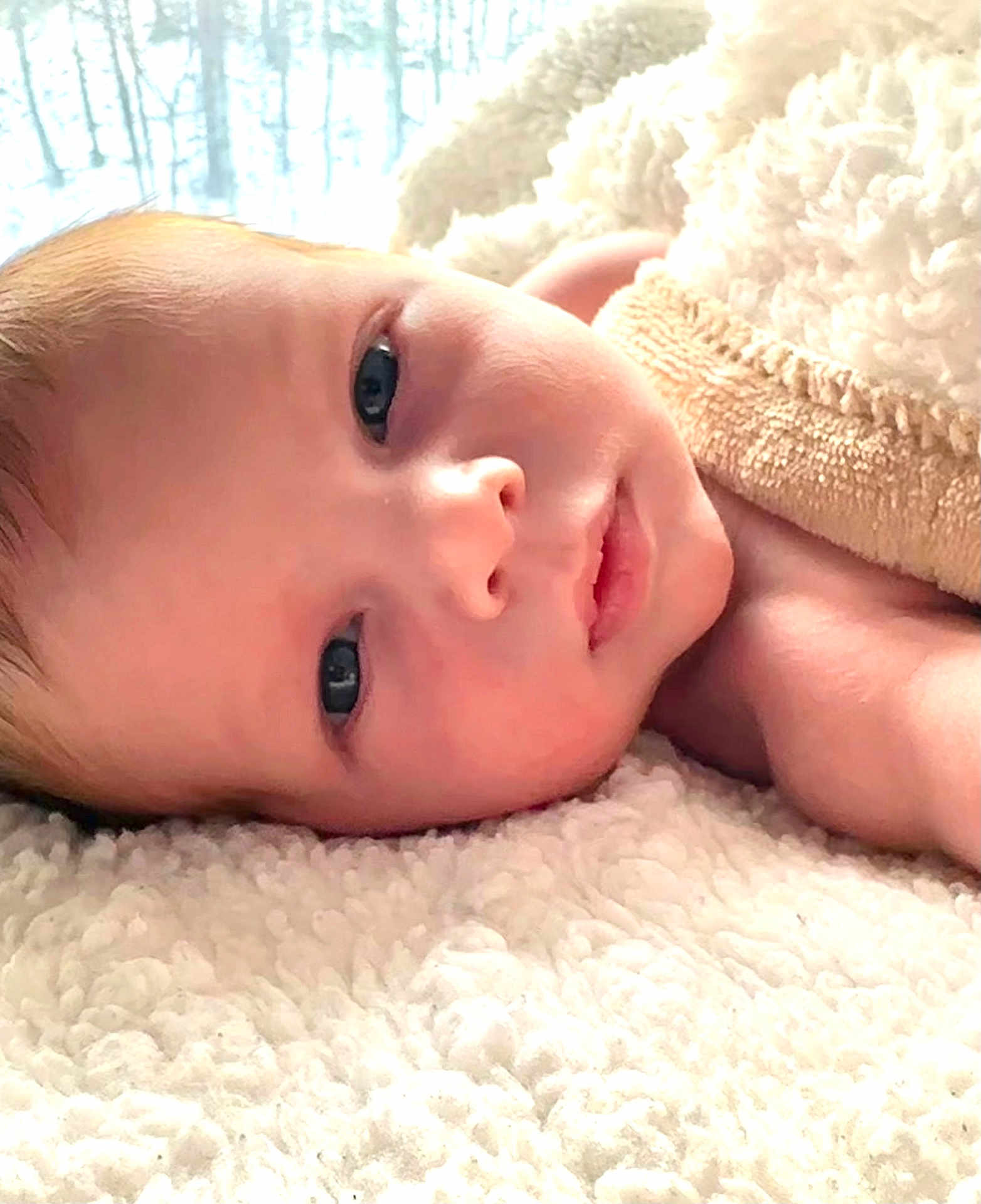 Leo joined the competition — help win amazing prizes! baby, infant, face, skin, eyes, blanket, towel, lying_down, soft_texture, close_up, newborn, child, cute, peaceful, indoors, portrait, head, resting, warm, comfort