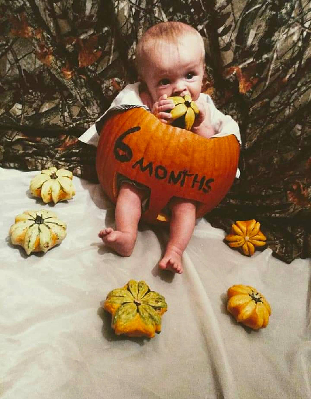 Marshall is registered to the contest to win money with this photo: _and_melon_family, _gourd, autumn, baby, calabaza, child, cucumber, cucurbita, food, fruit, gourd, jack_o_lantern, person, plant, pumpkin, squash, toddler, tree, trick_or_treat, vegetable
