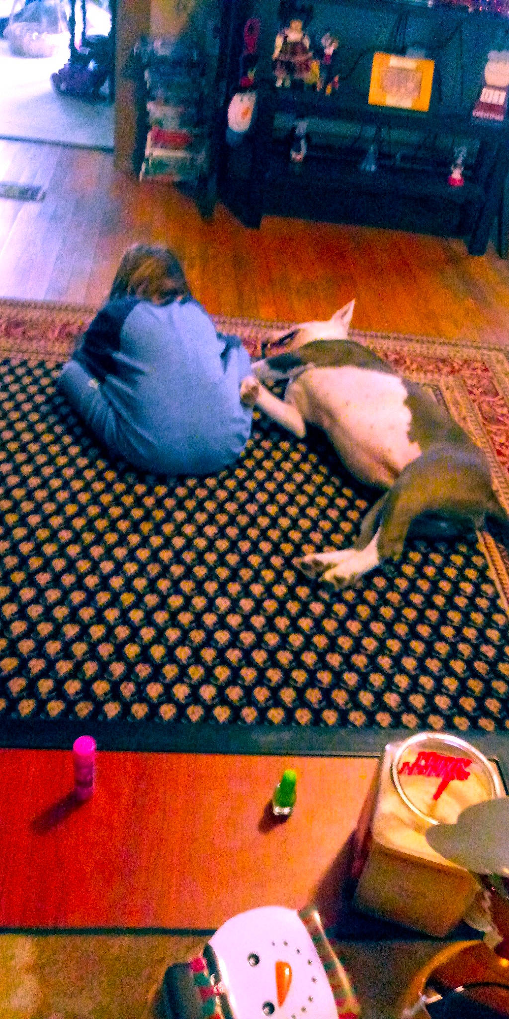 Freyja is registered to the contest to win money with this photo: floor, flooring, play, table