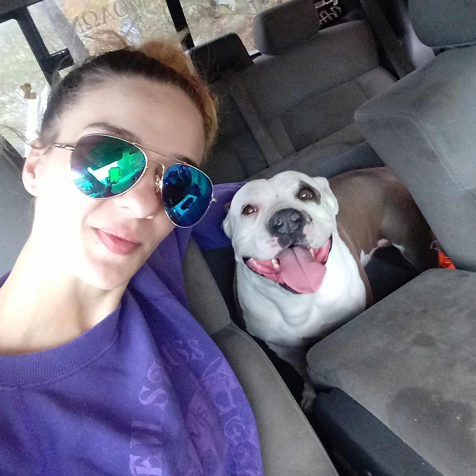 Freyja is registered to the contest to win money with this photo: american_bulldog, boston_terrier, canidae, carnivore, companion_dog, cool, dog, dog_breed, eyewear, fawn, glasses, non_sporting_group, photography, puppy_love, selfie, smile, snout, sunglasses, vision_care