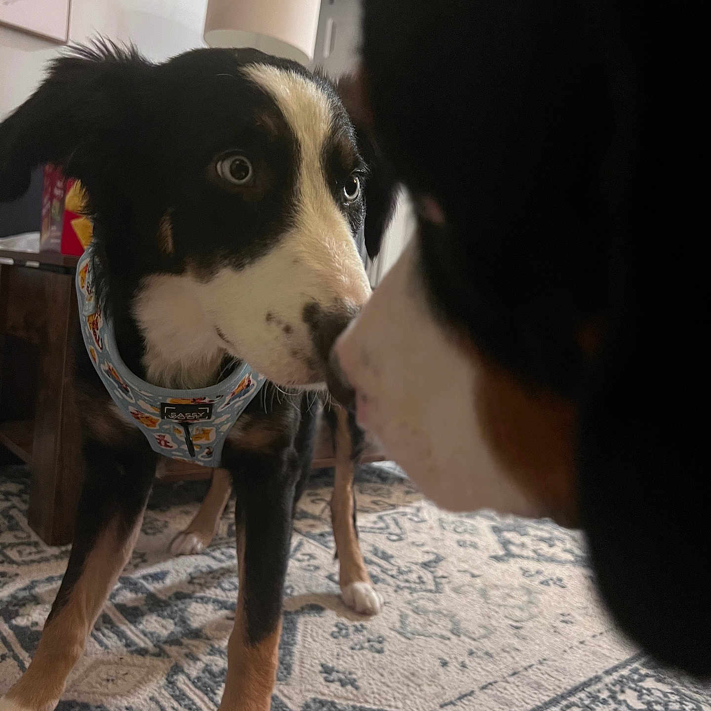 Winnie