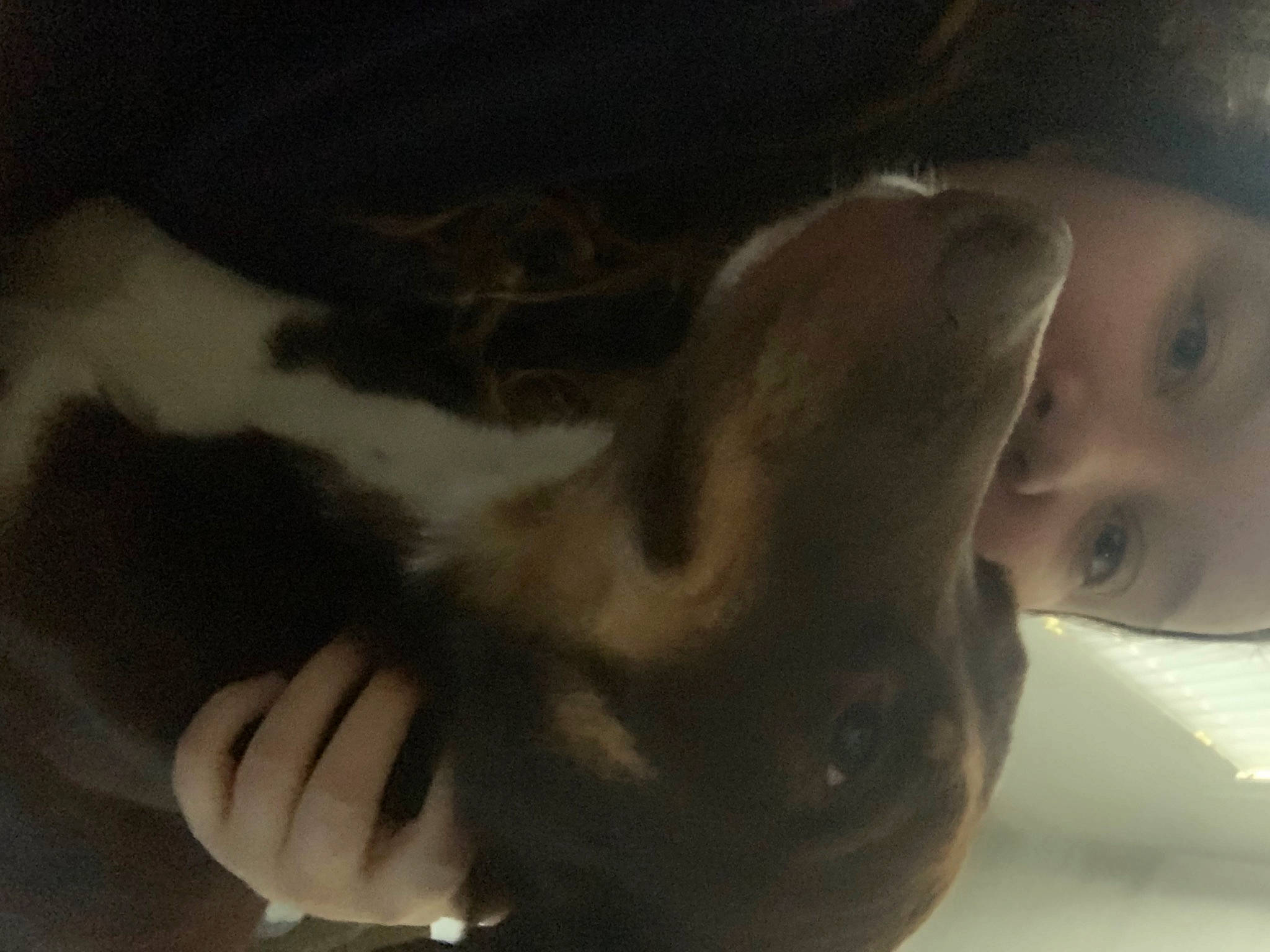 Max joined the competition — help win amazing prizes! chest, companion_dog, dog_breed, eyelash, felidae, finger, foot, fur, gesture, hand, happy, jaw, nail, nose, small_to_medium_sized_cats, smile, snout, tail, thumb, whiskers