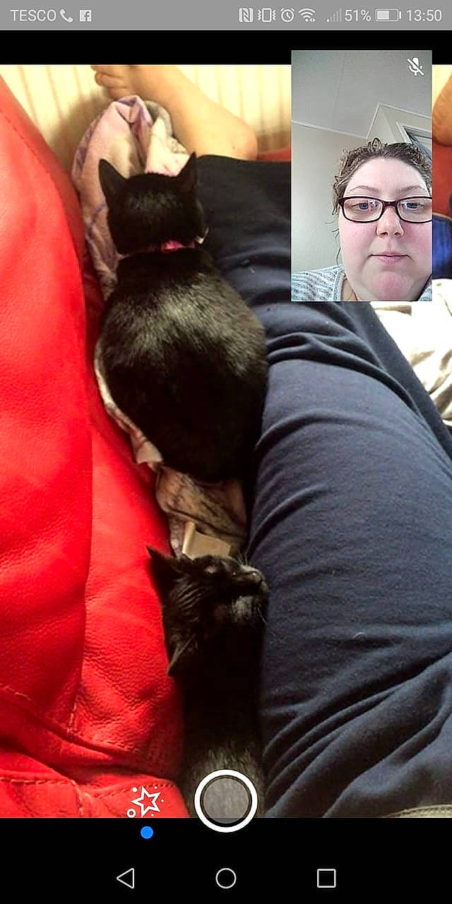 Star And Ruby is registered to the contest to win money with this photo: black_hair, fur, mouth, person, photo_caption