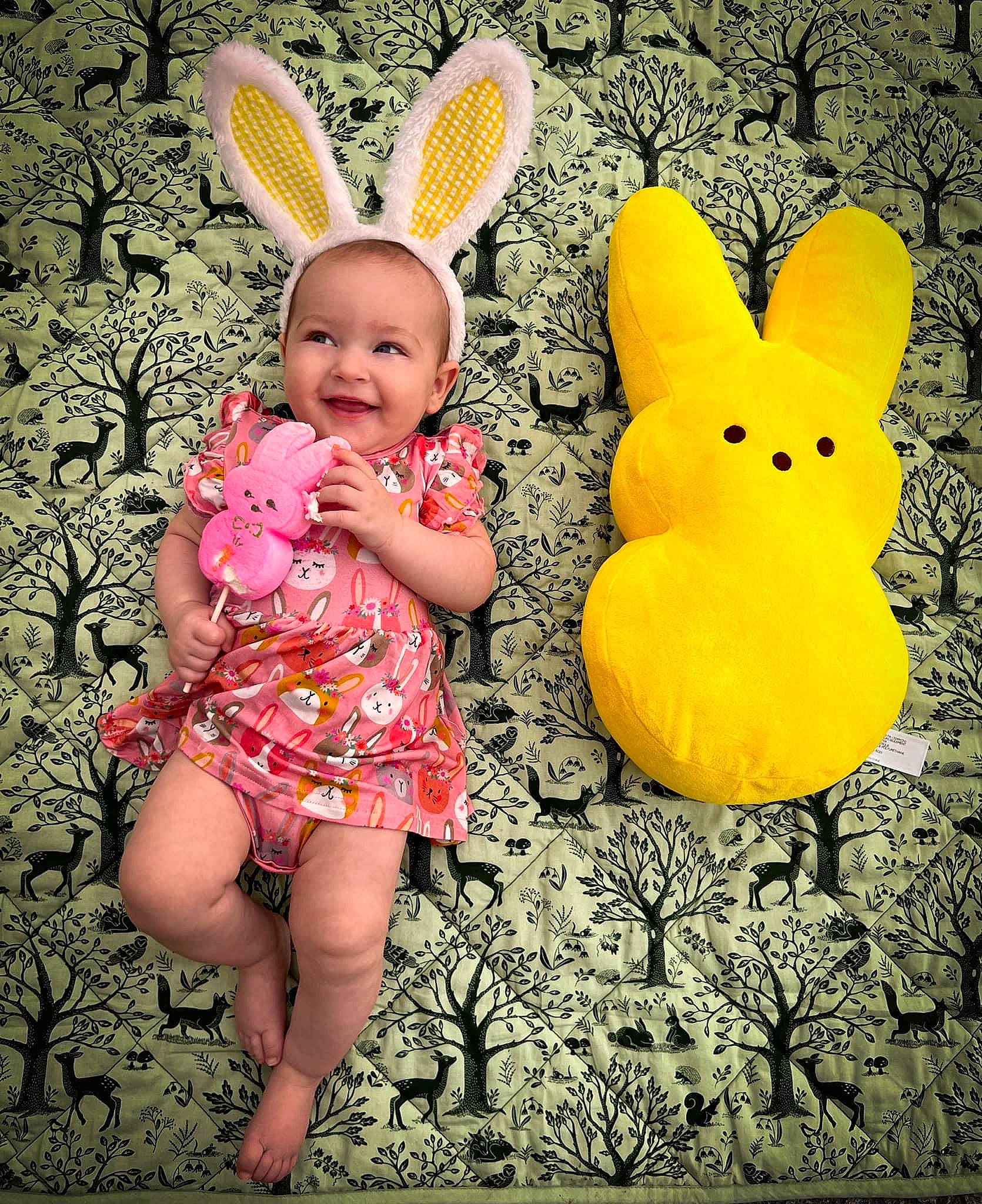 Elana is registered to the contest to win money with this photo: adaptation, baby, baby_toddler_clothing, dress, ear, facial_expression, fawn, finger, grass, happy, joy, people_in_nature, person, pink, plant, rabbit, rabbits_and_hares, smile, textile, toddler