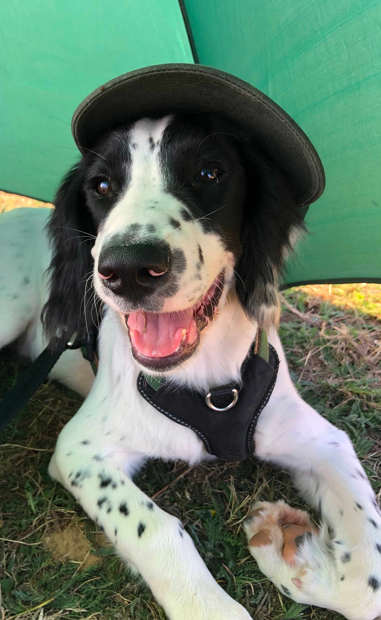 Charlie