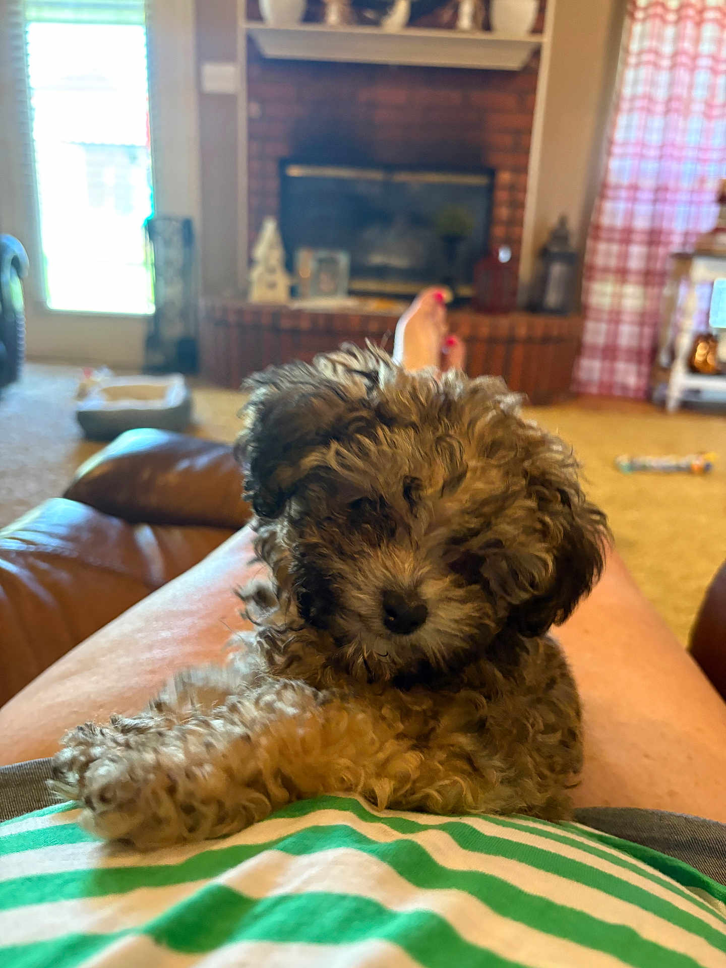Toby