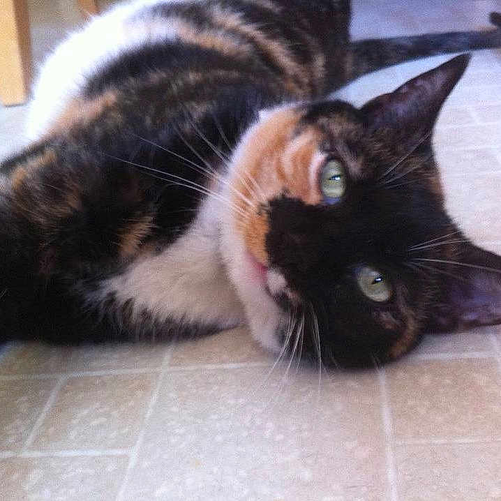 Amelia is registered to the contest to win money with this photo: