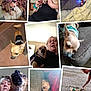 dog, small_dog, chihuahua, woman, indoor, outdoor, couch, blanket, holding, pet, playing, sleeping, person, carpet, floor, collage, multiple_dogs, leash, clothing, interaction