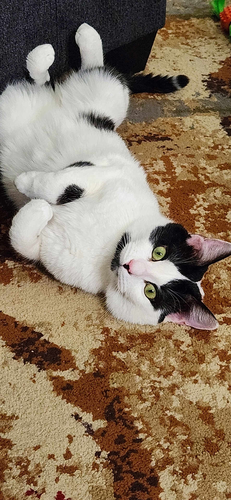Sam
