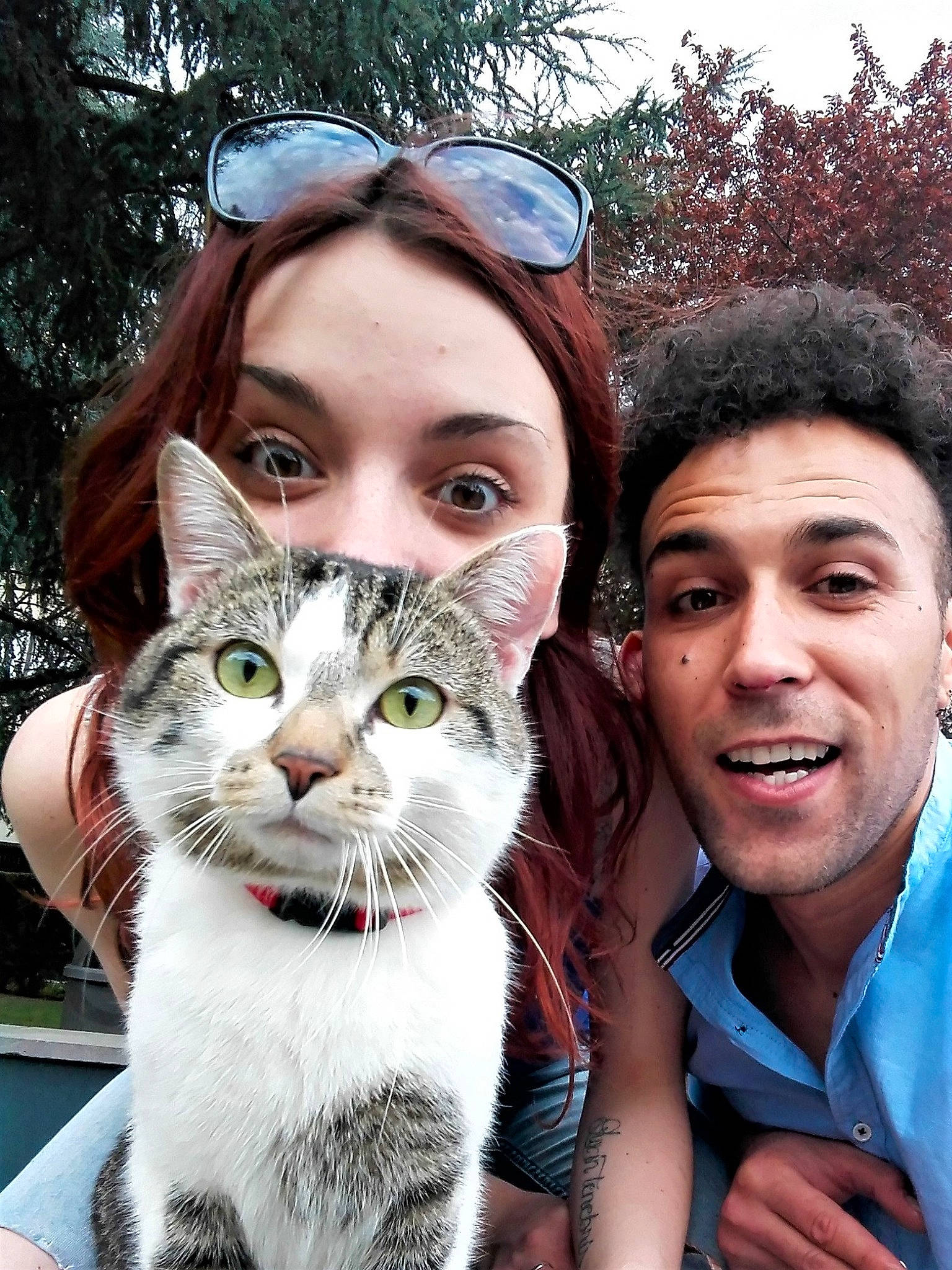 Scarface a rejoint le concours — aidez-le/la à gagner de superbes lots ! carnivore, cat, felidae, fun, fur, nose, person, photography, selfie, small_to_medium_sized_cats, smile, whiskers