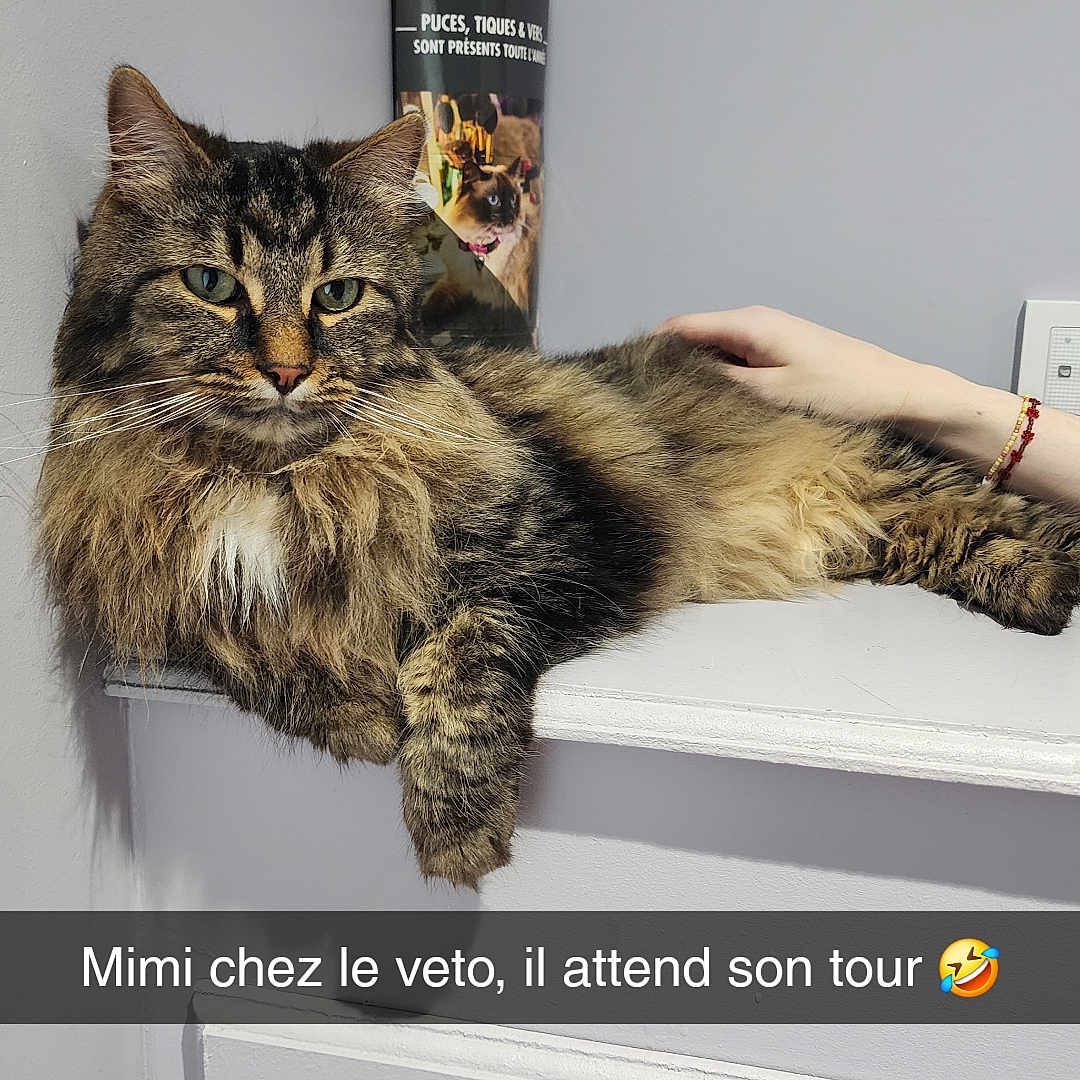 Milow