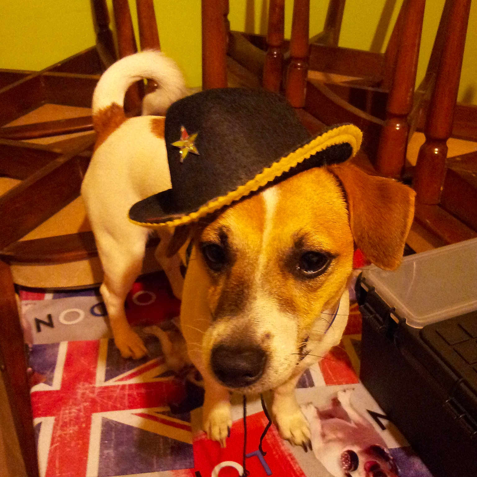 Louna