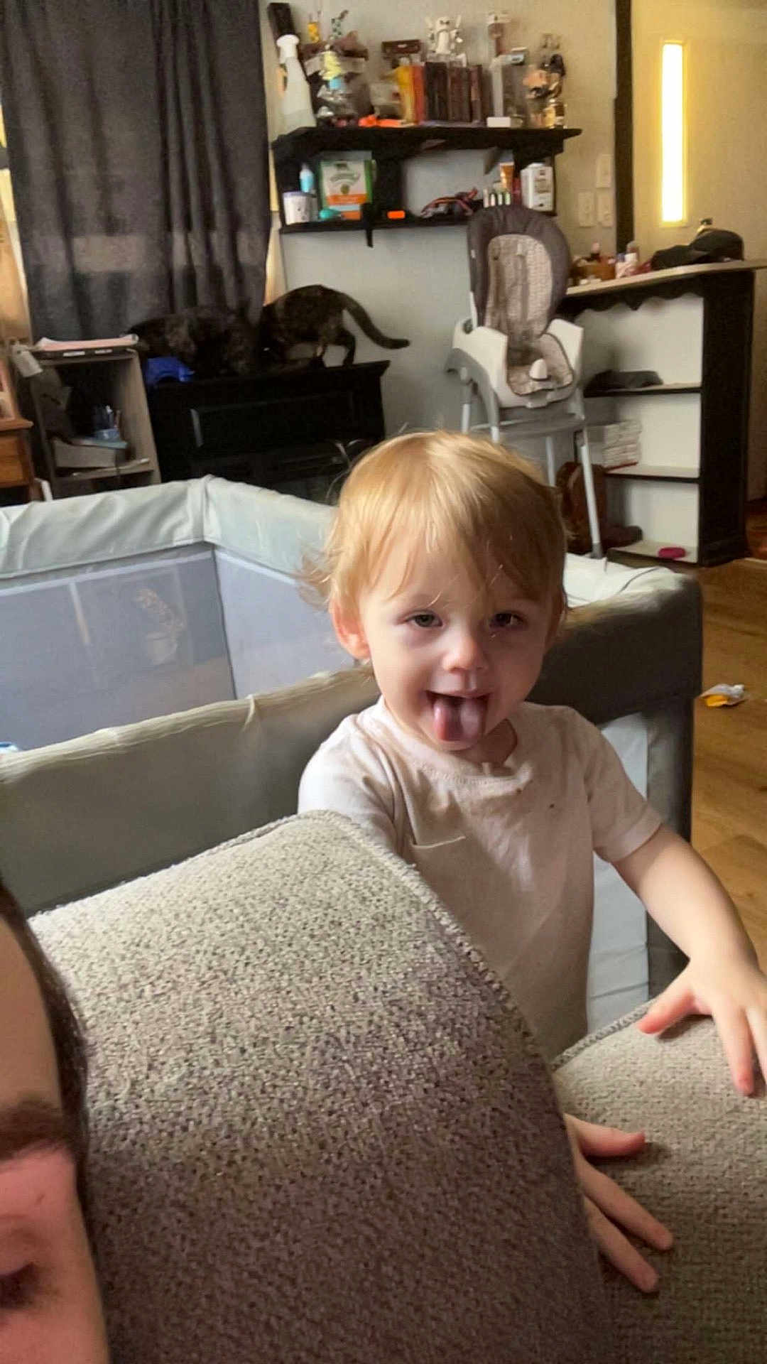 Jt Matthew joined the competition — help win amazing prizes! toddler, child, tongue_out, playful, living_room, couch, furniture, cat, pets, high_chair, shelf, books, curtains, wood_floor, person, indoor, blond_hair, casual_clothing, smiling, home