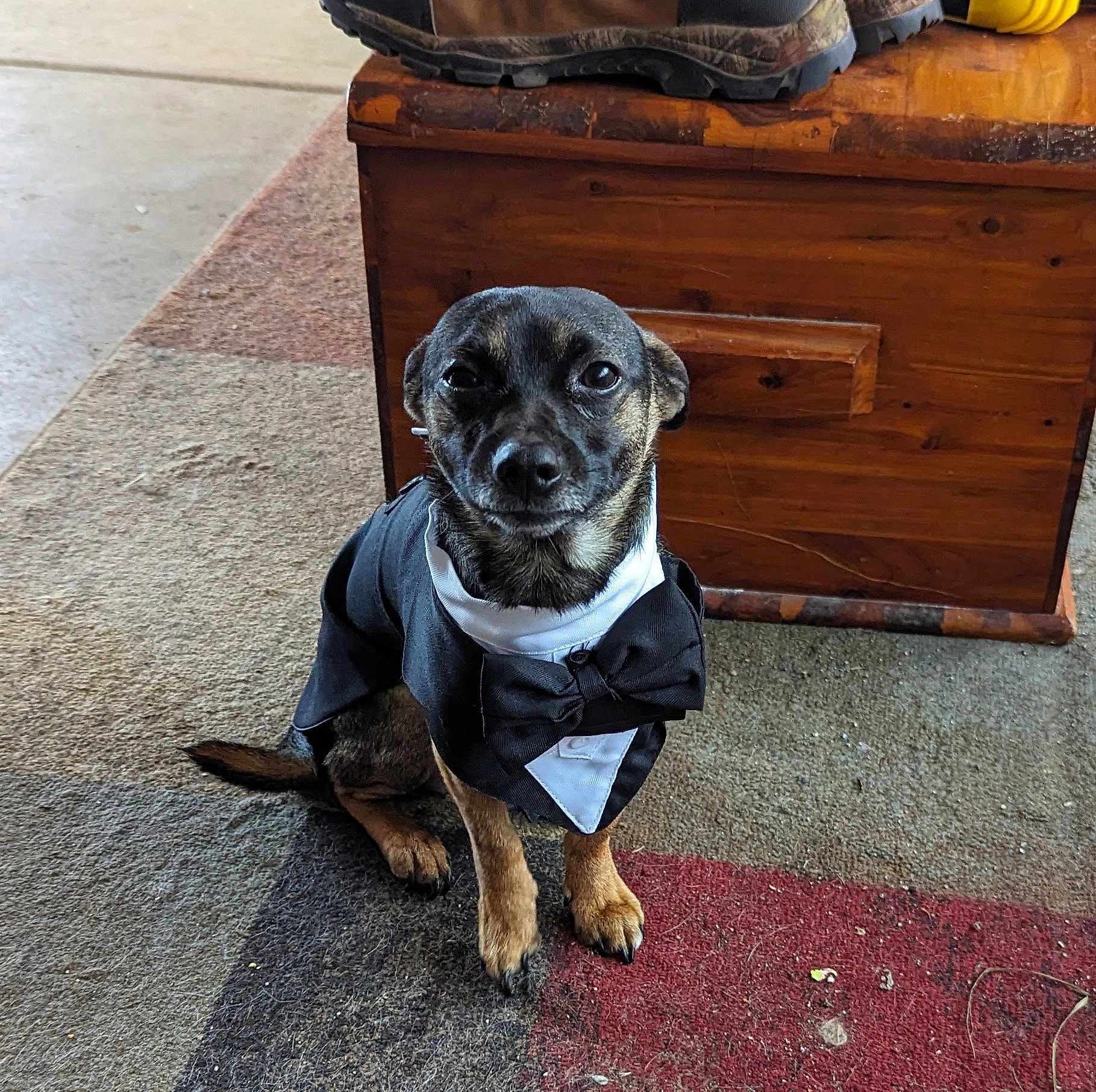 Tank