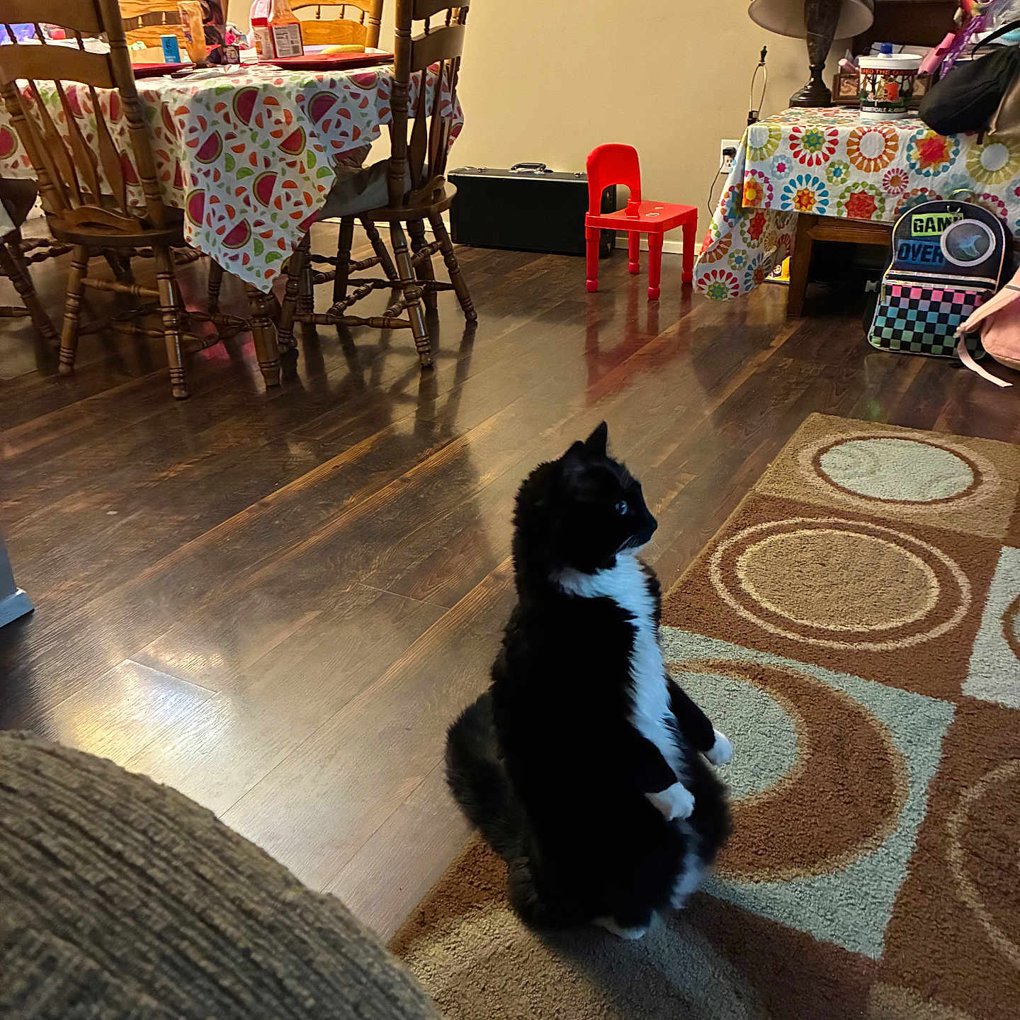 Duke