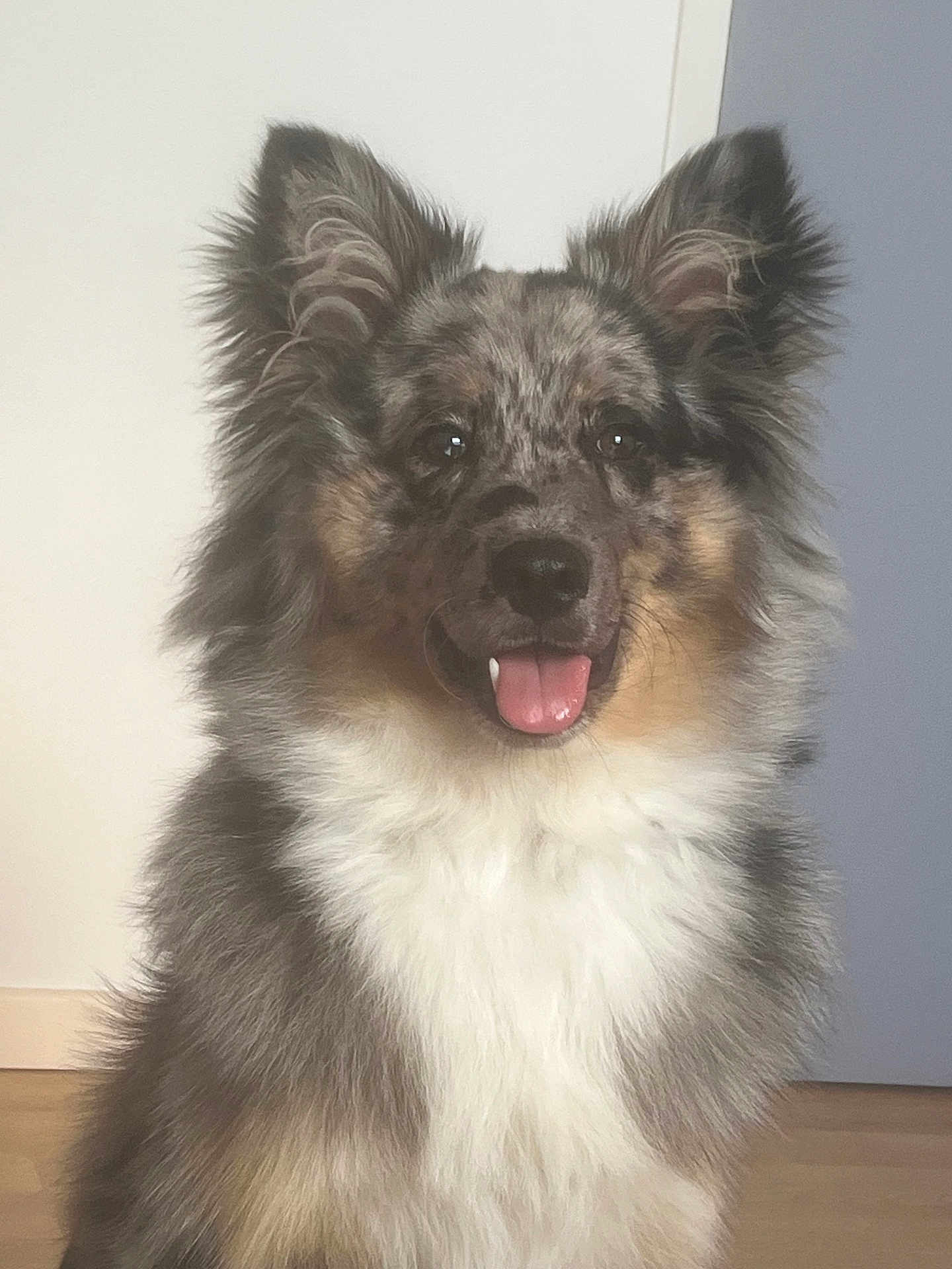 Aïko