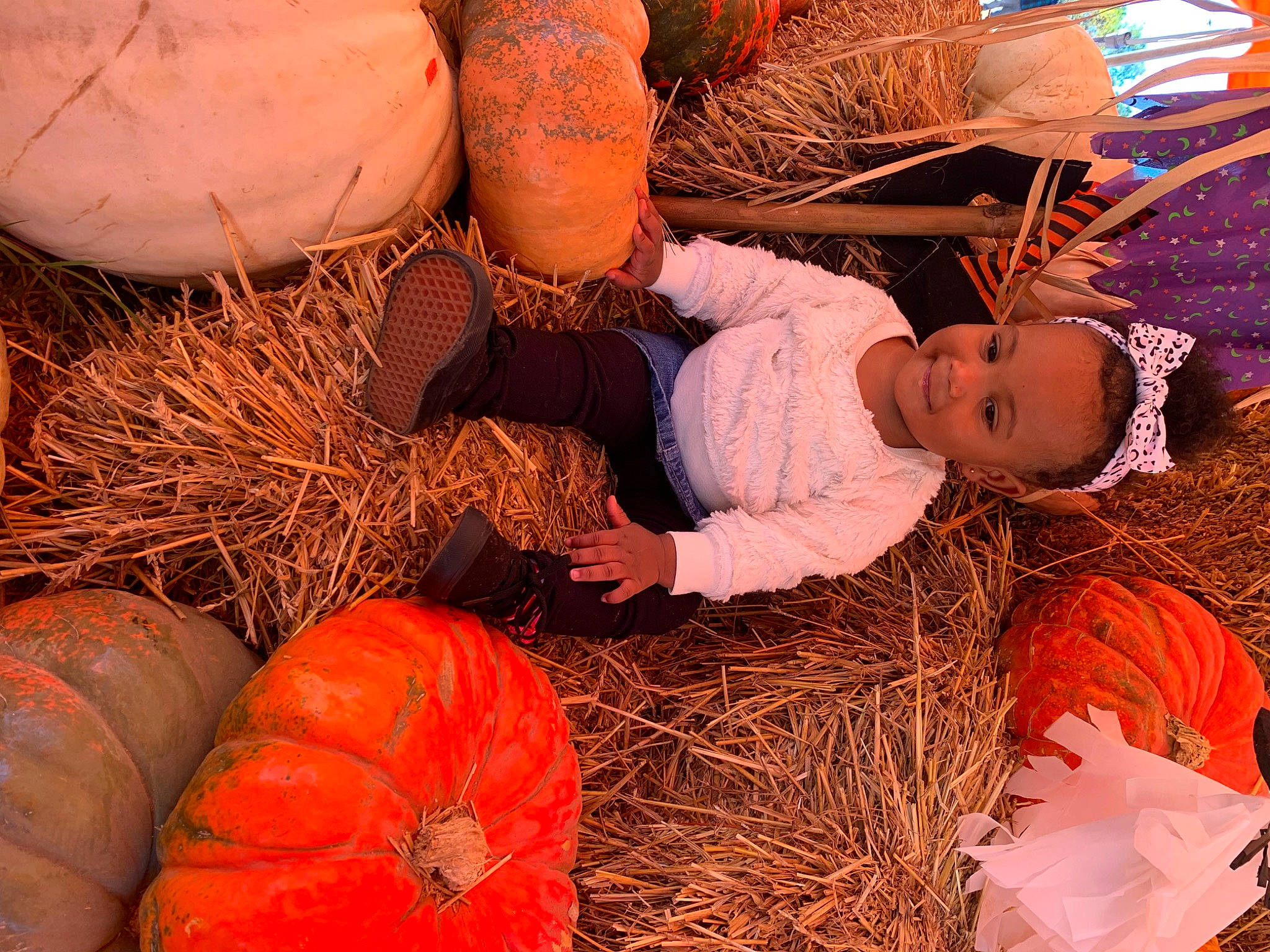 Ania is registered to the contest to win money with this photo: adaptation, calabaza, cucurbita, event, fun, gourd, grass, grass_family, happy, hat, hay, joy, natural_foods, orange, people_in_nature, person, plant, pumpkin, squash, toddler