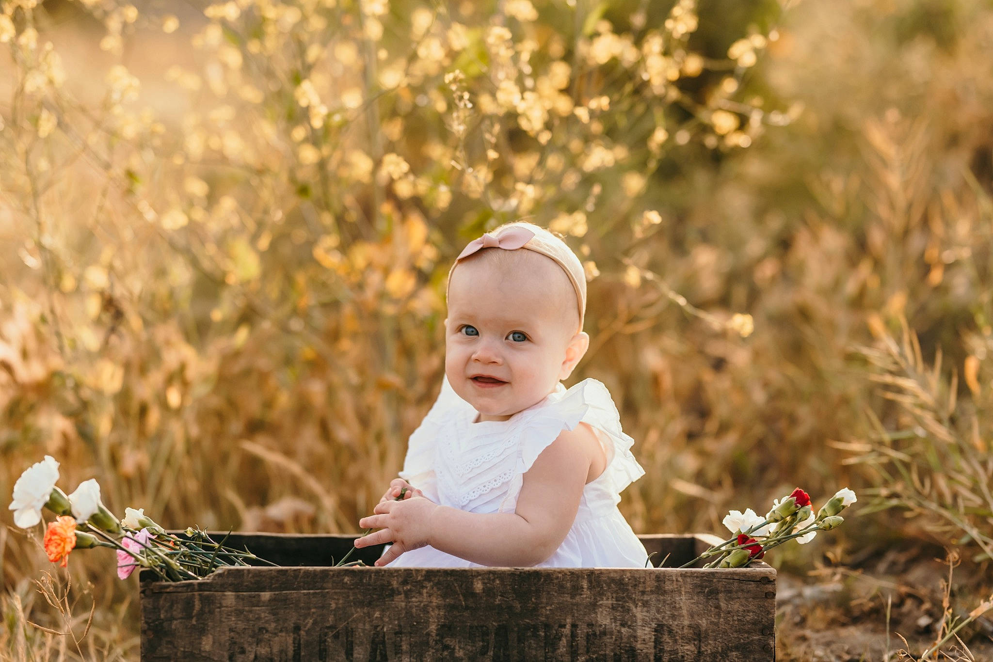 Sailor is registered to the contest to win money with this photo: baby, baby_toddler_clothing, branch, child, flash_photography, flower, fun, grass, grass_family, happy, headpiece, people_in_nature, person, plant, portrait_photography, sitting, stock_photography, sunlight, toddler, tree