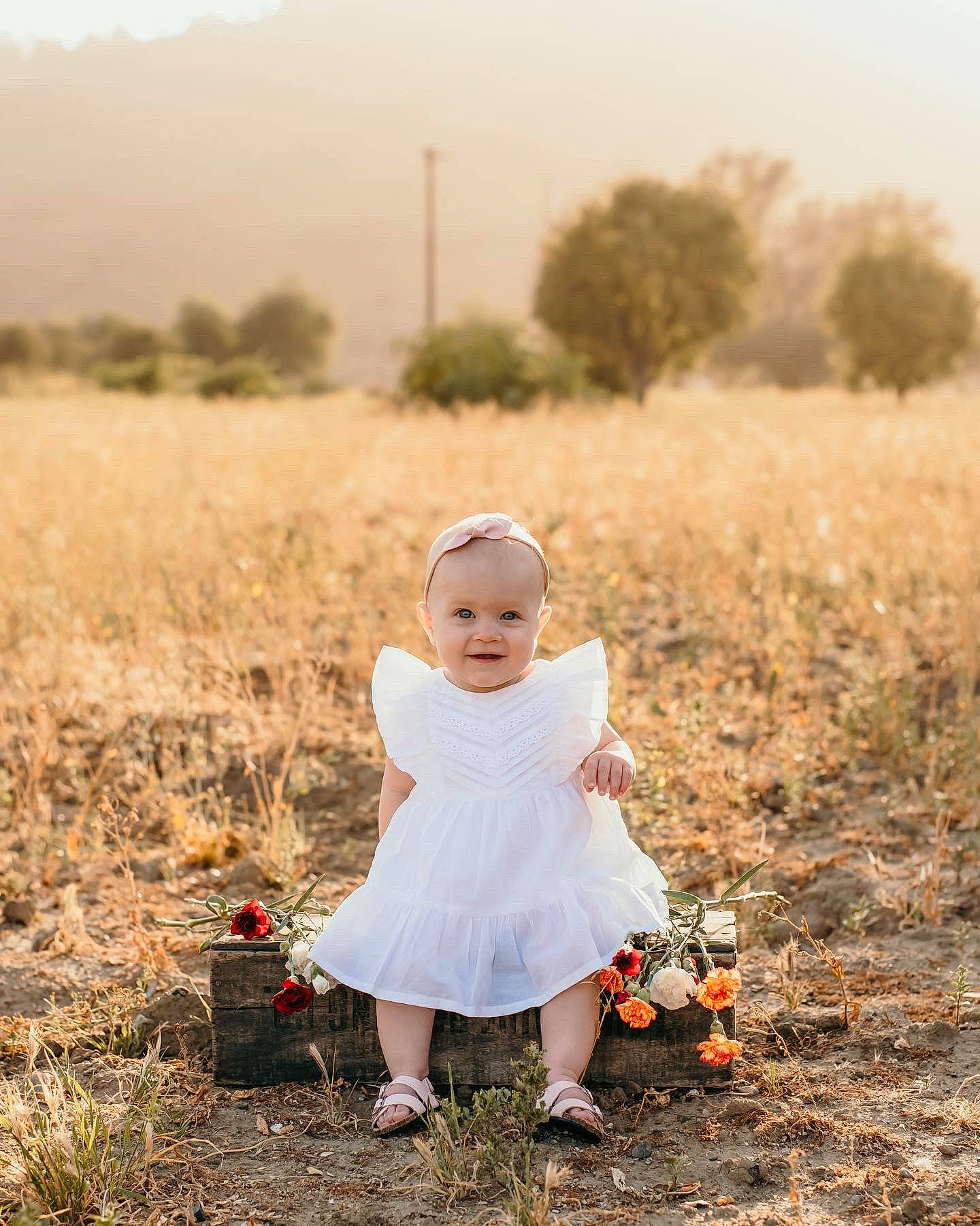Sailor joined the competition — help win amazing prizes! baby, baby_toddler_clothing, child, dress, flash_photography, fun, grass, grassland, happy, hat, joy, landscape, morning, people_in_nature, person, photograph, plant, sky, summer, sunlight