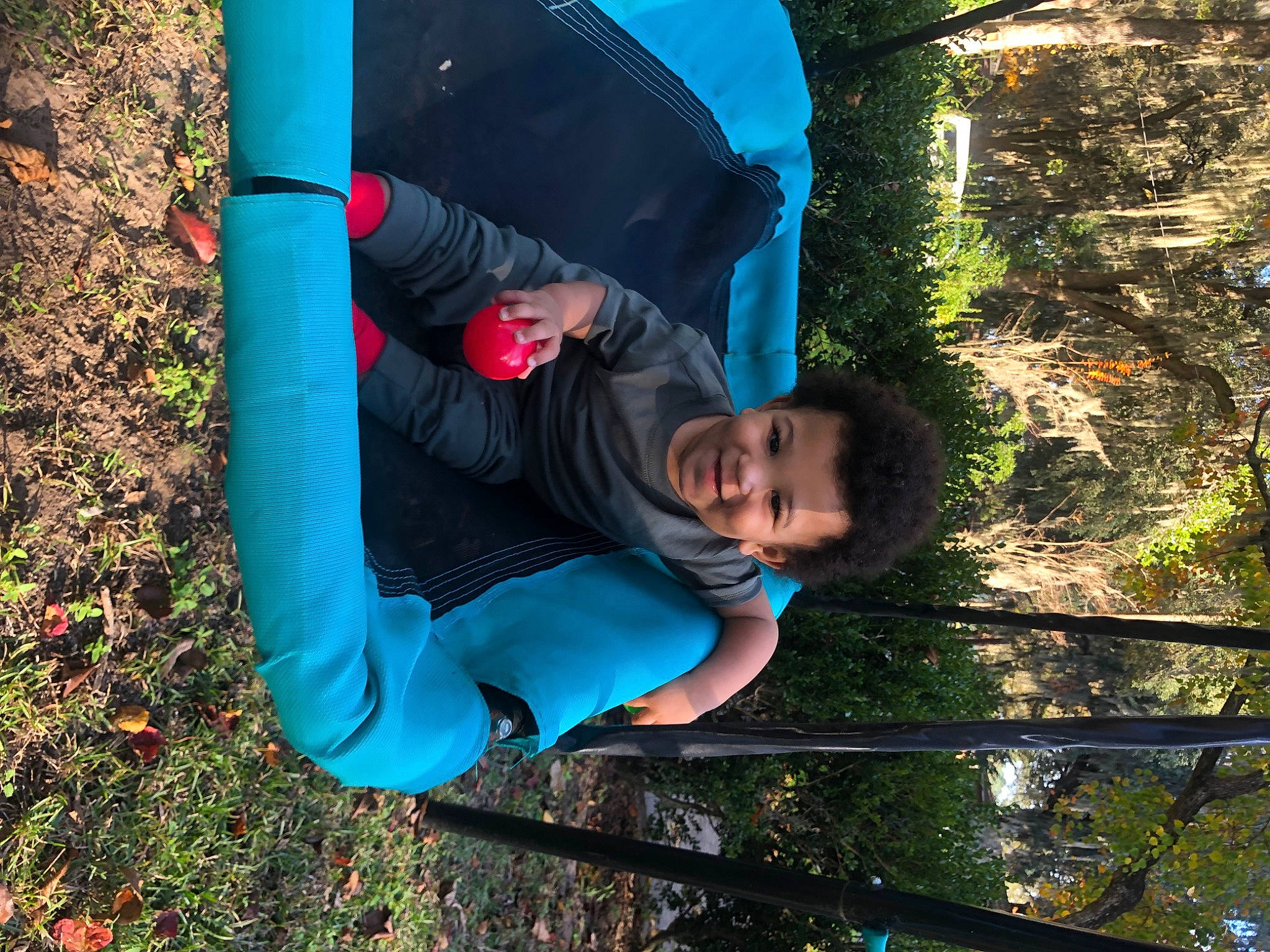 Kyng is registered to the contest to win money with this photo: botany, child, electric_blue, fun, grass, joy, leisure, people_in_nature, person, plant, recreation, soil, spring, tarpaulin, tints_and_shades, tree, woody_plant