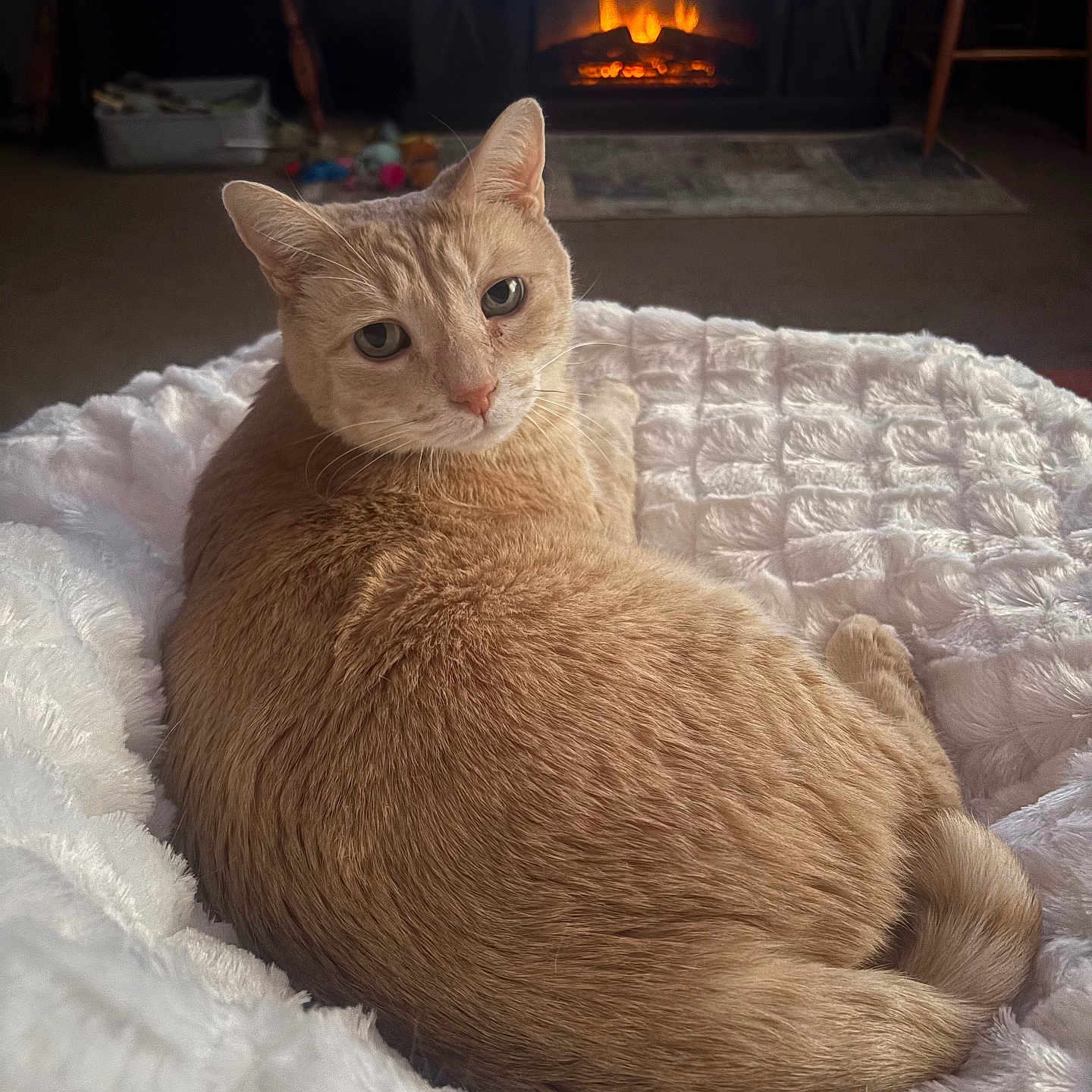 Jasper