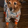 dog, pajamas, pet_clothing, indoor, floor, rug, wooden_floor, curious, animal, canine, brown_fur, ears, tail, paws, standing, cozy, home, furniture, soft_lighting, looking_away