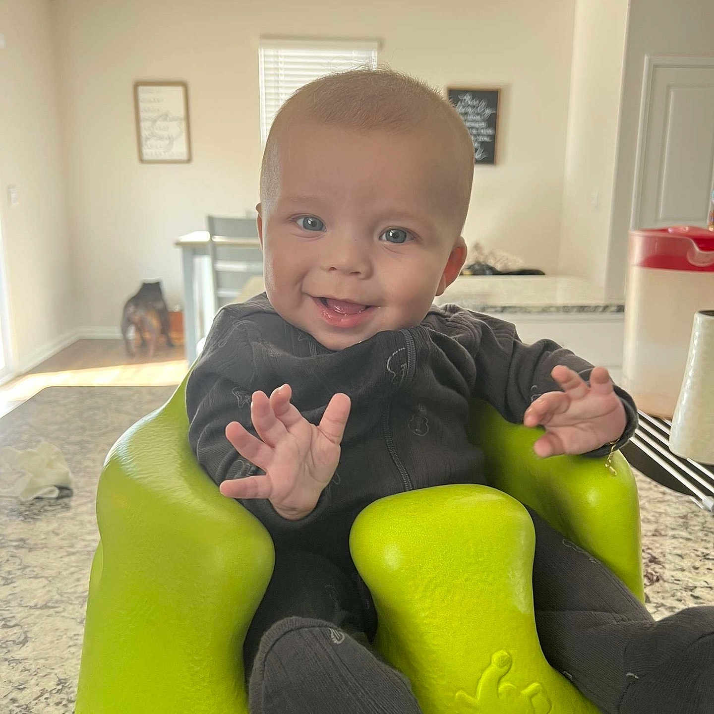 Colsen Lee is registered to the contest to win money with this photo: animal, baby, bodypart, canine, chair, clothing, couch, dog, face, finger, footwear, furniture, head, indoors, person, pet, photography, portrait, shoe, sitting