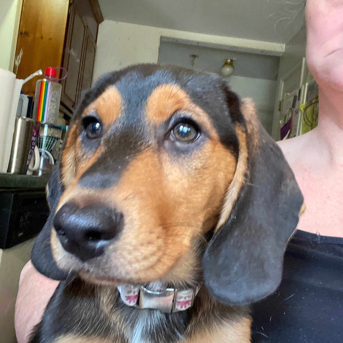 Maggie