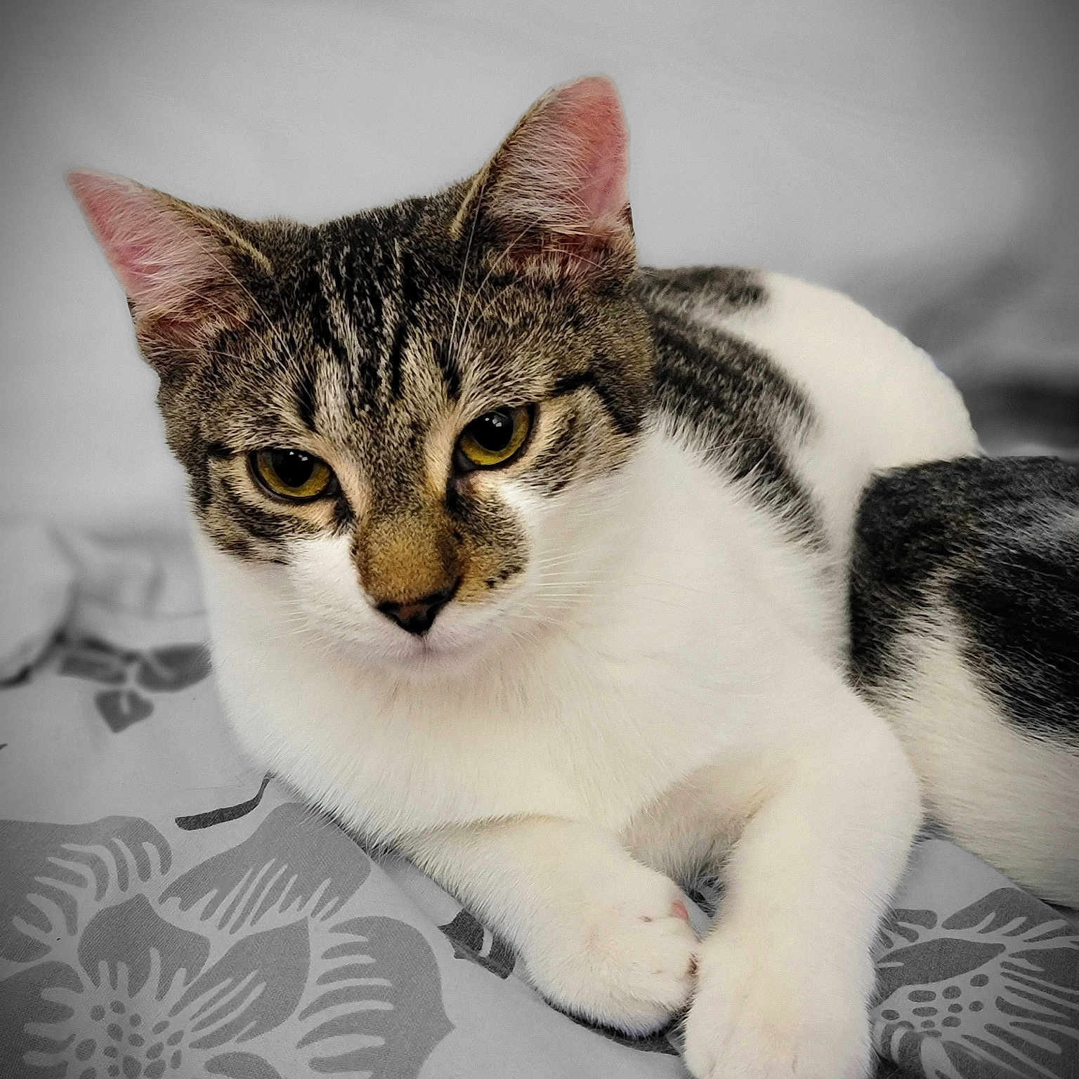 Charlie