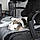 Odie