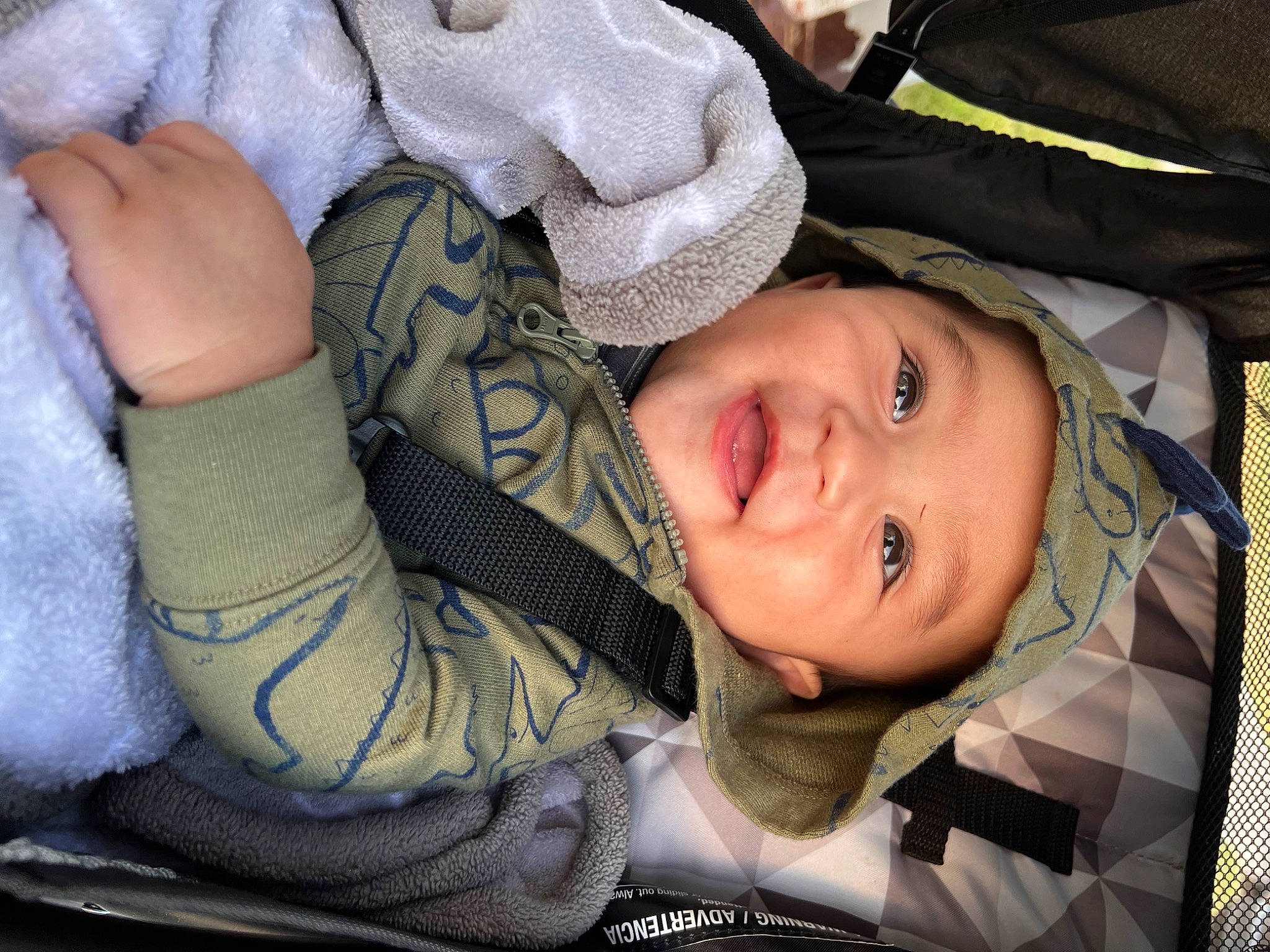 Boston is registered to the contest to win money with this photo: cheek, comfort, cool, eye, facial_expression, flash_photography, gesture, happy, head, headwear, lip, mammal, mouth, nose, person, plant, skin, sleeve, smile, textile