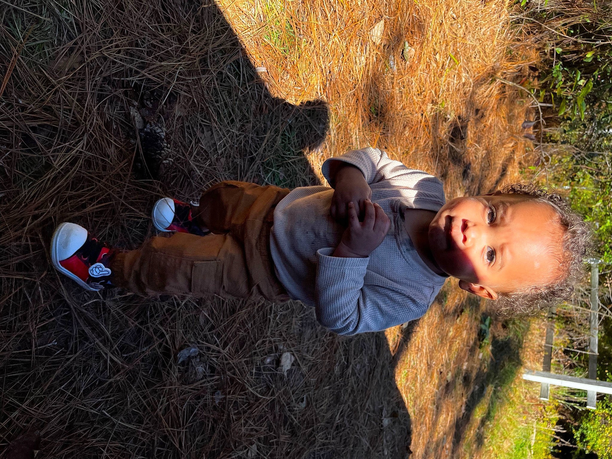 Andre joined the competition — help win amazing prizes! ball, fun, grass, grass_family, grassland, happy, landscape, leisure, people_in_nature, person, plant, recreation, shadow, sitting, soil, tree, wilderness, wood