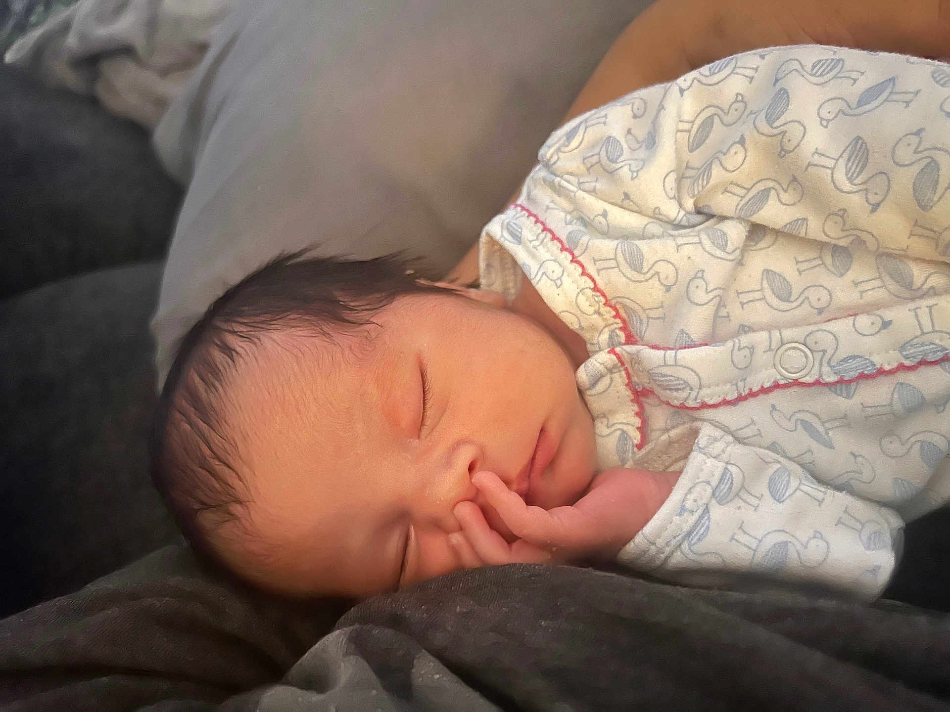 Leonora Rey joined the competition — help win amazing prizes! newborn, baby, sleeping, infant, onesie, hand, face, peaceful, soft, blanket, closeup, cute, cozy, child, portrait, resting, indoors, young, human, toddler