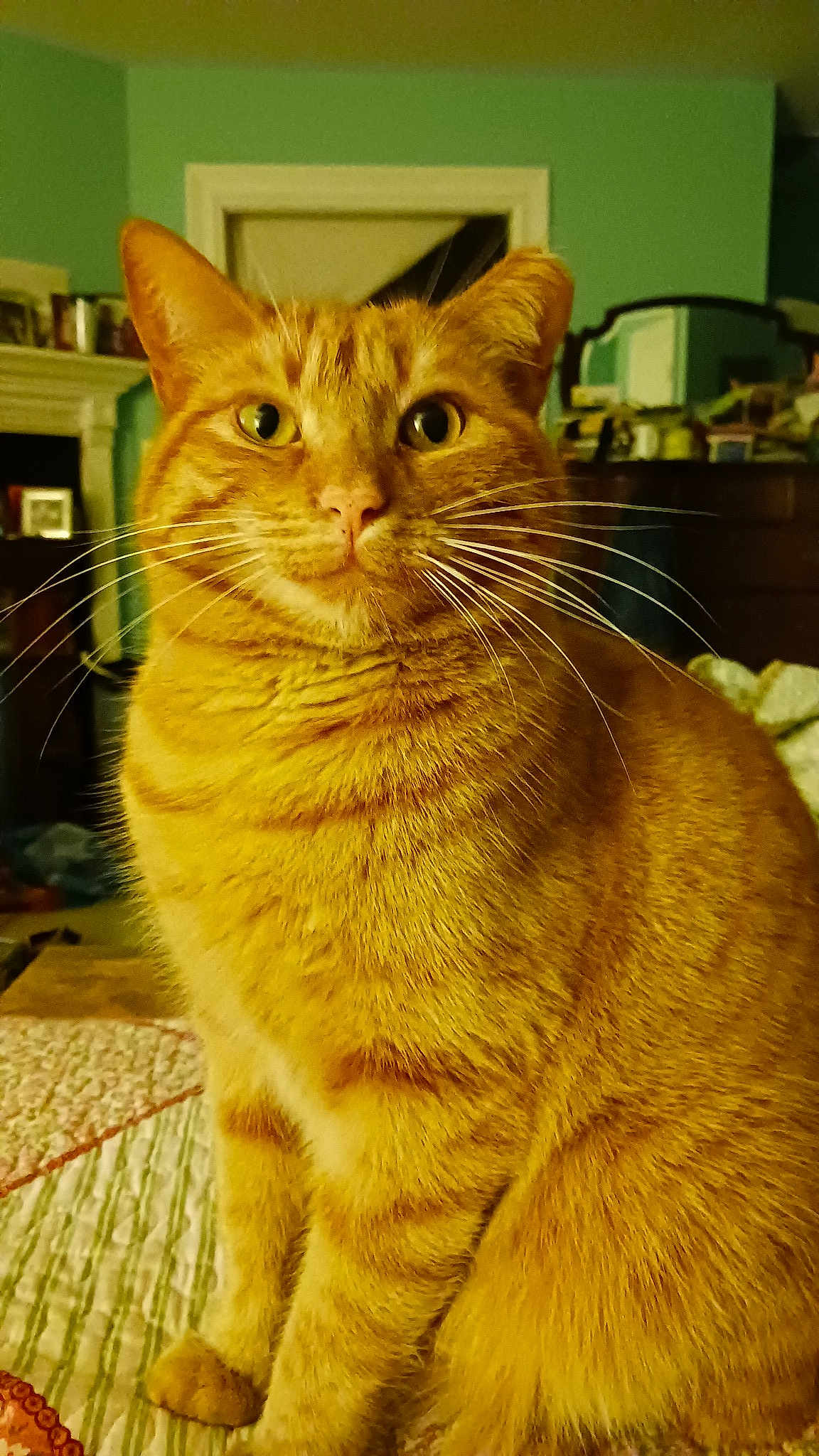 Bennie