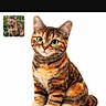 Camélia a rejoint le concours — aidez-le/la à gagner de superbes lots ! animal, background, brown, cat, cute, digital_art, domestic_animal, feline, green_eyes, isolated, orange, pet, portrait, sitting, small_inset, striped, studio, tabby_cat, watermark, white